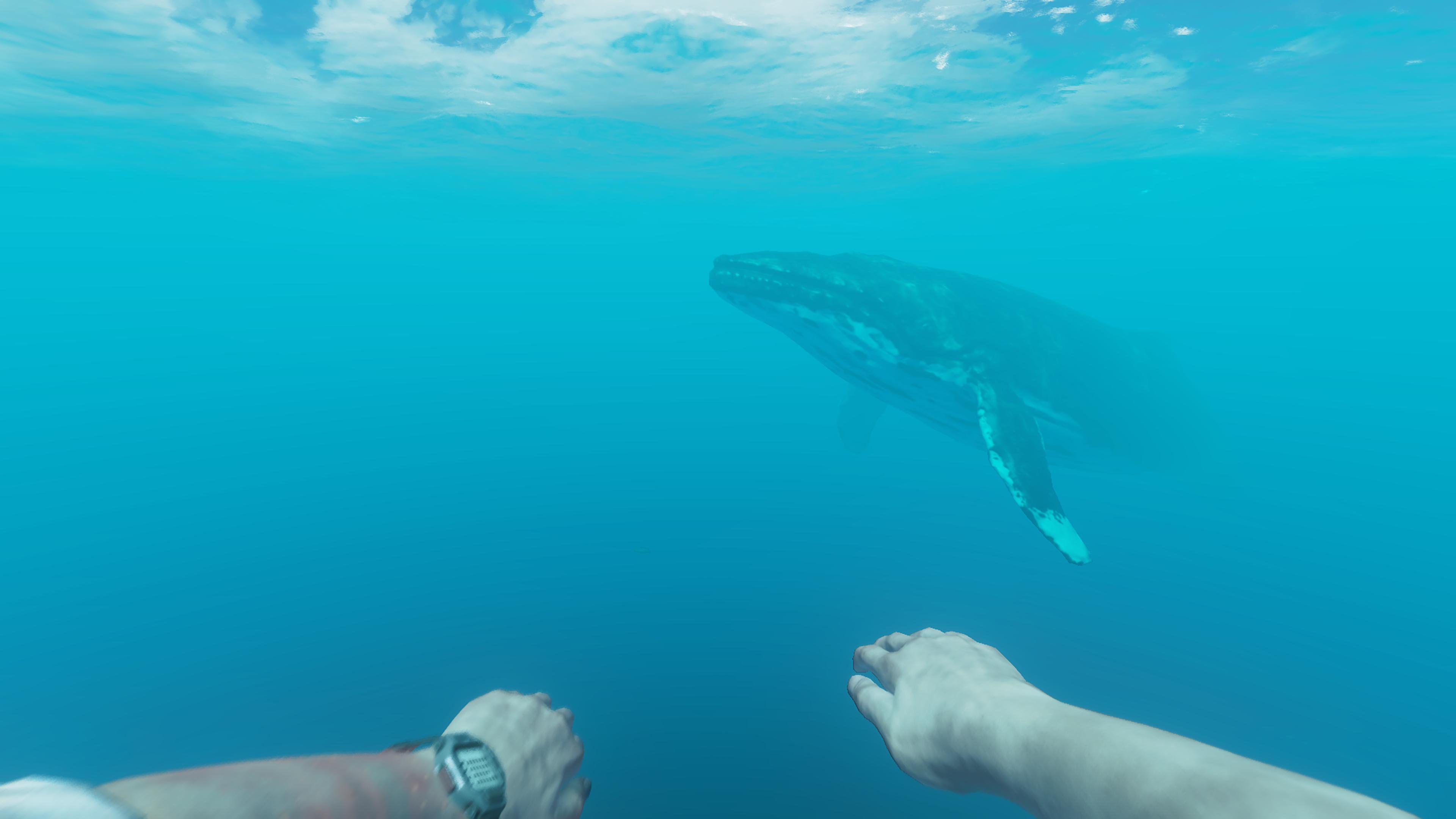Stranded Deep screenshot 9