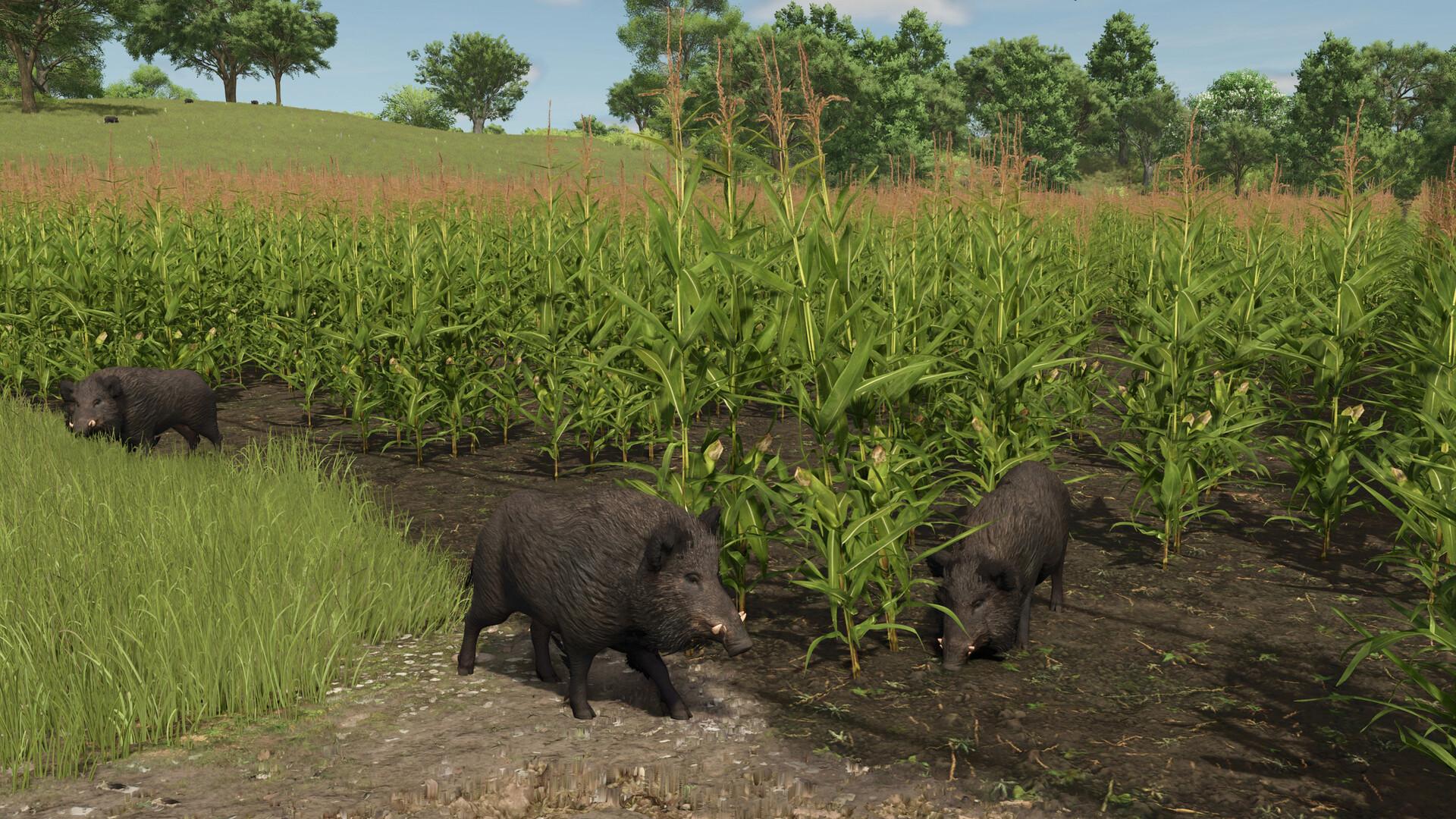 Farming Simulator 25: Vredo Pack Pre Order screenshot 7