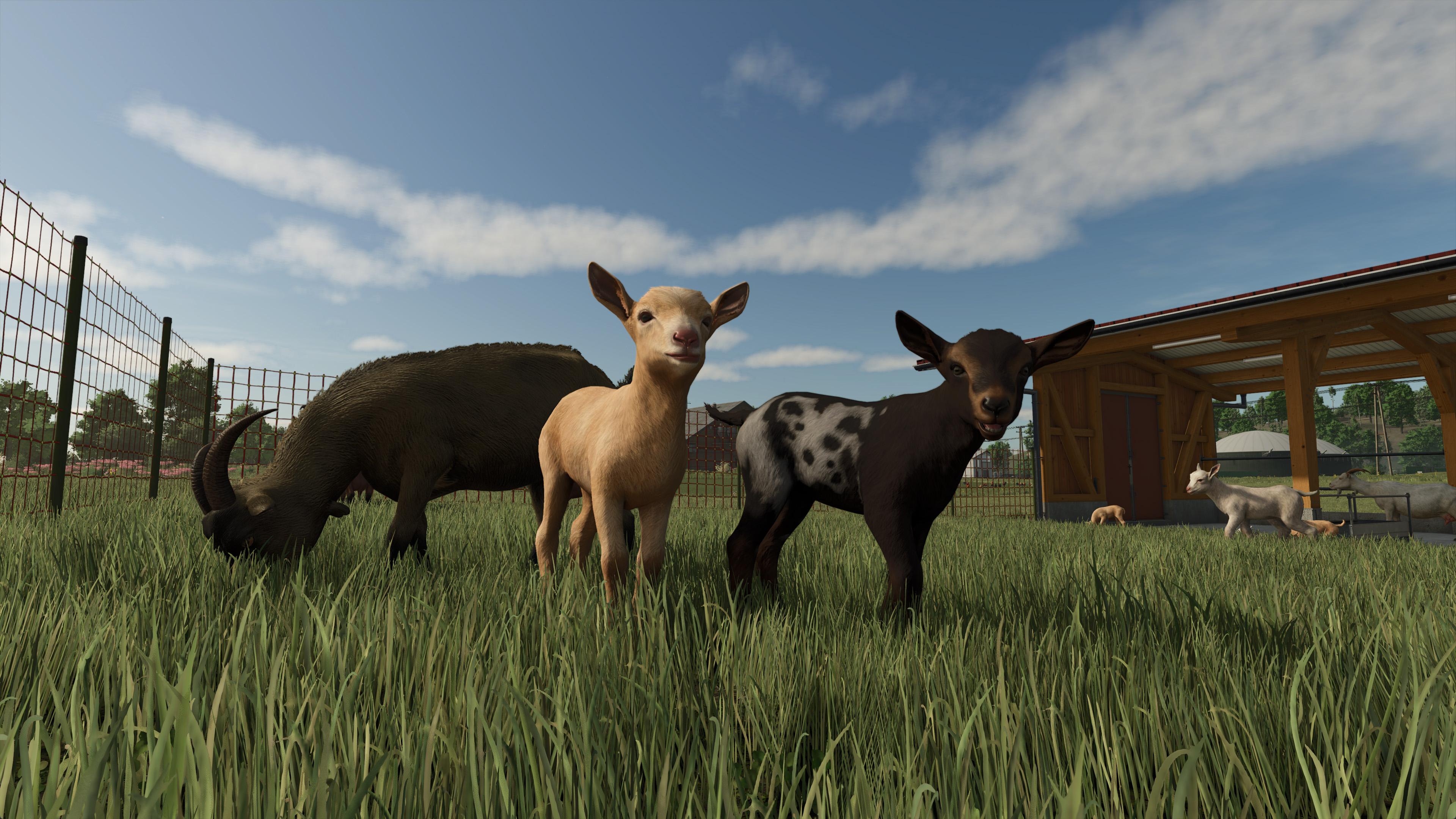 Farming Simulator 25 - Highlands Fishing Edition screenshot 8