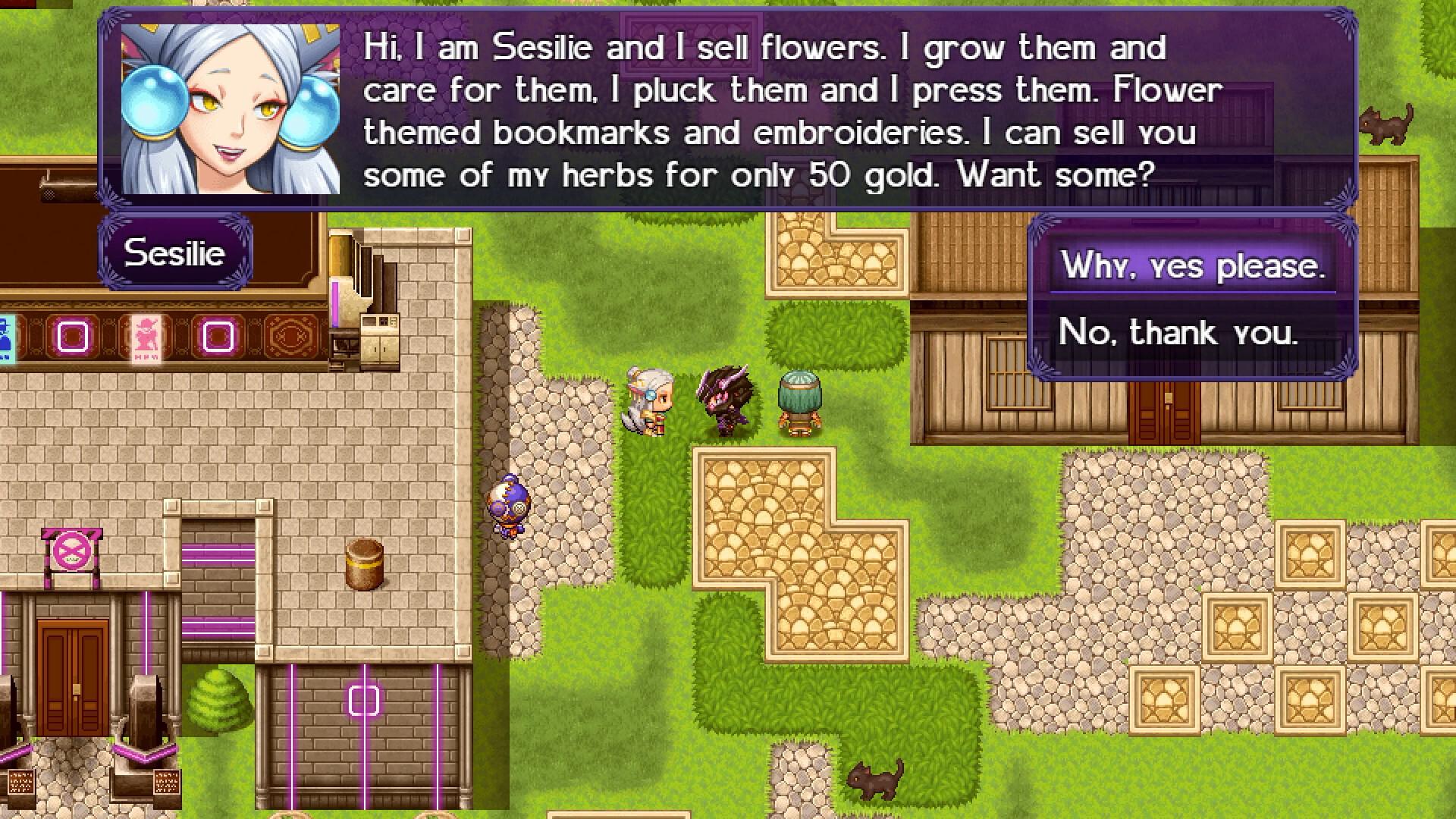 The Black Knight Chronicles - The Widow without Time screenshot 1