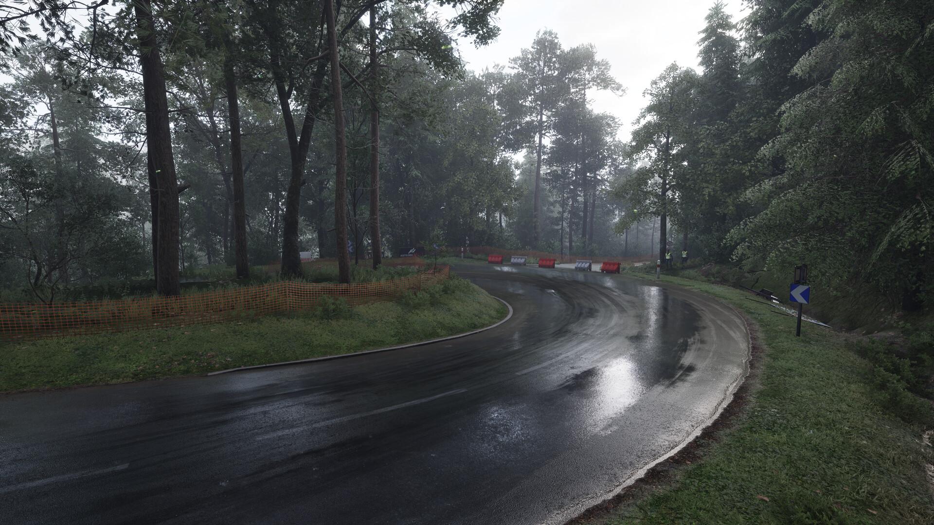 Assetto Corsa Rally - Early Access screenshot 125