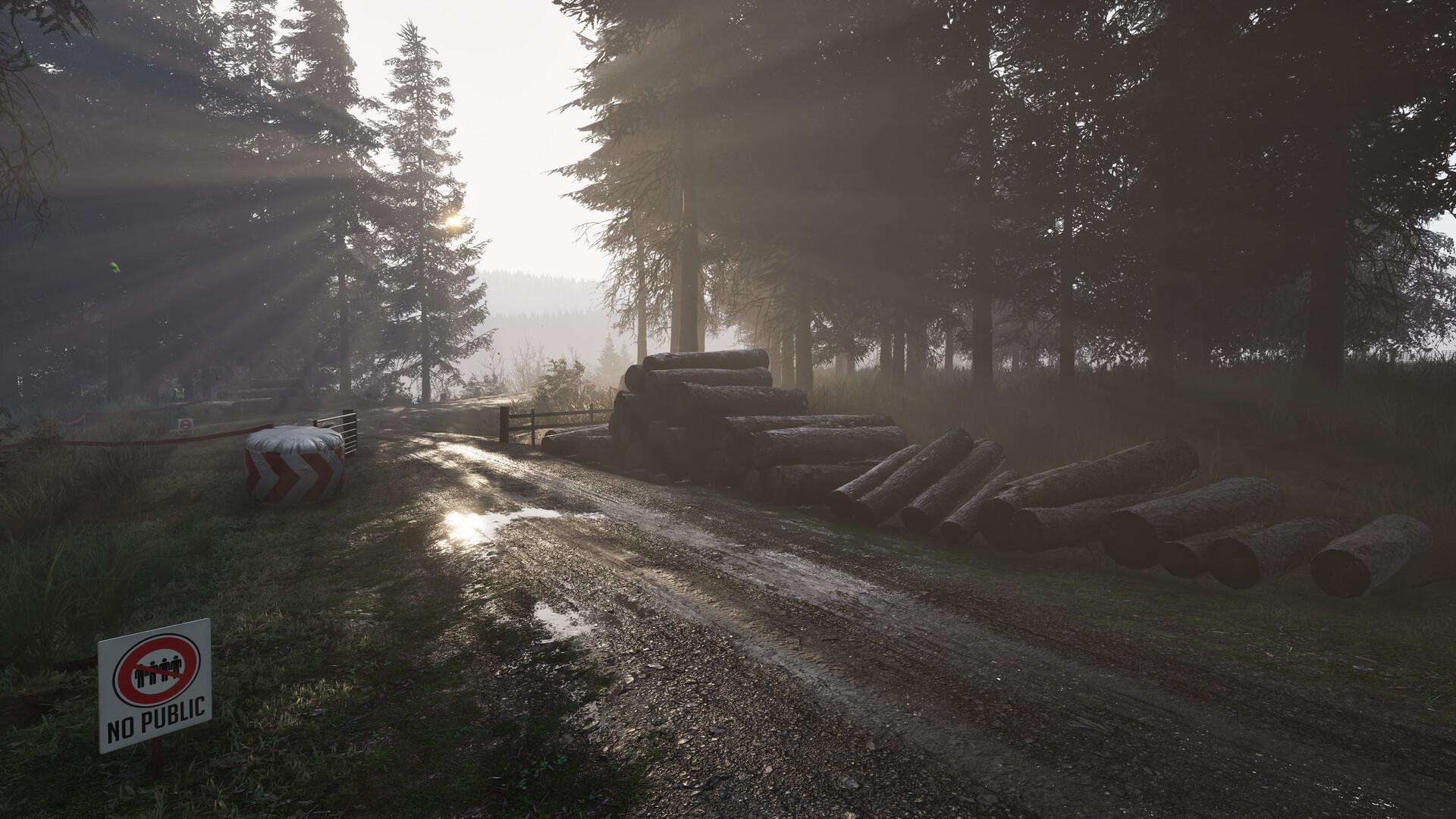 Assetto Corsa Rally - Early Access screenshot 127