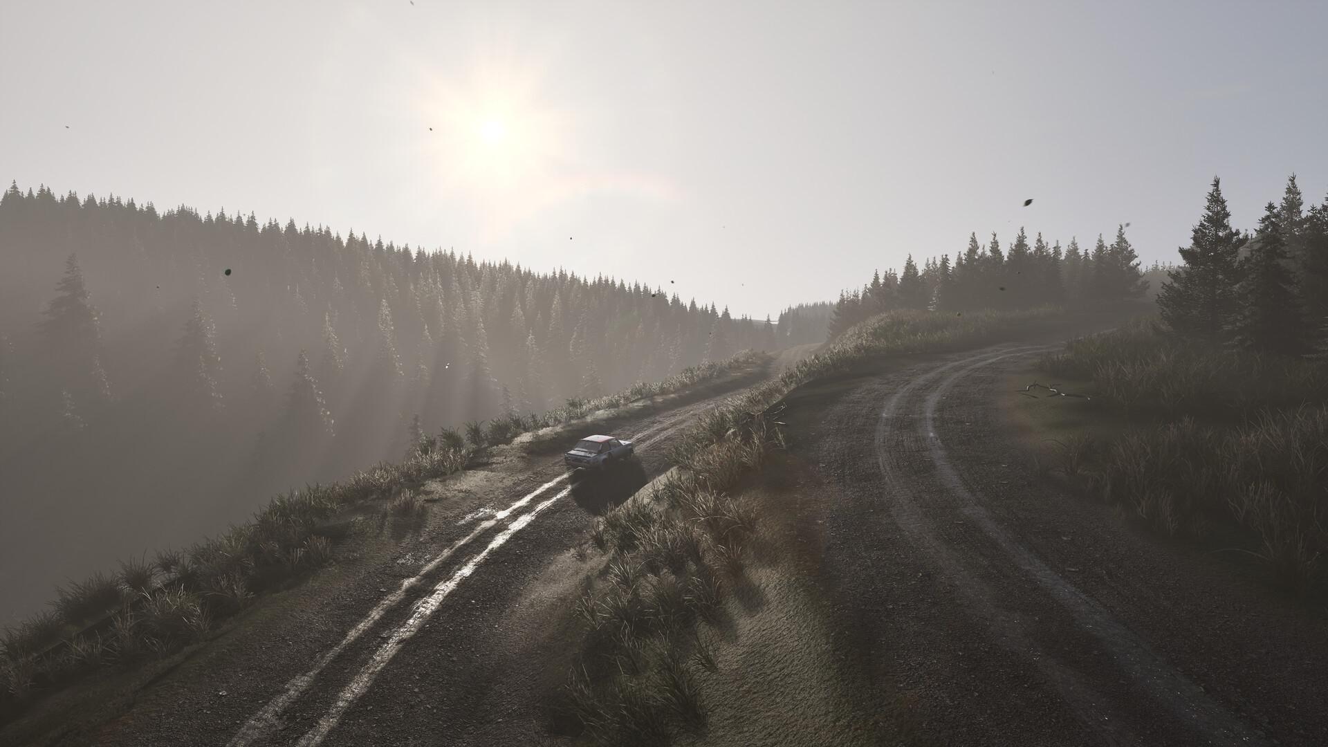 Assetto Corsa Rally - Early Access screenshot 128