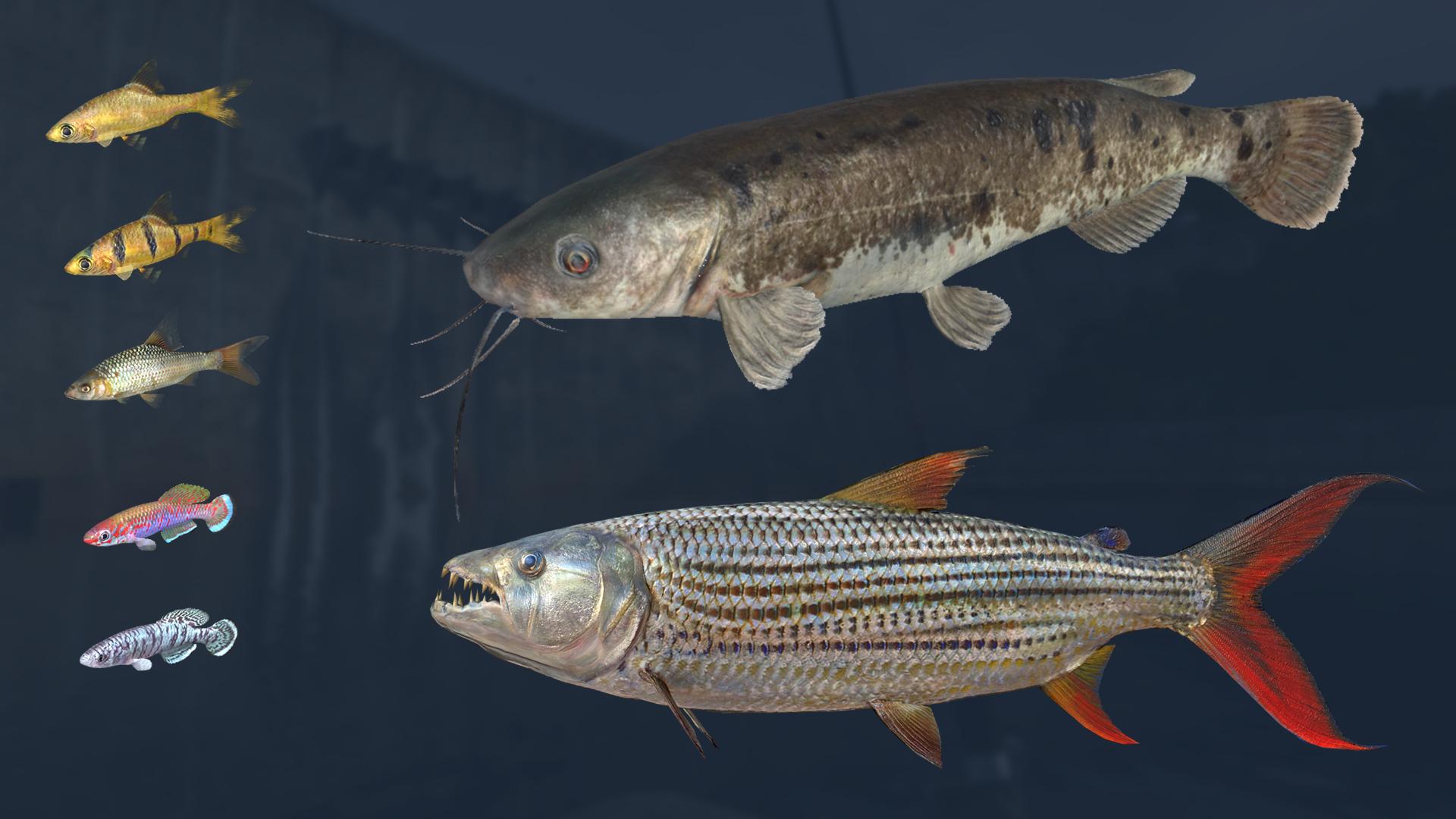 Ultimate Fishing Simulator - Kariba Dam DLC screenshot 7