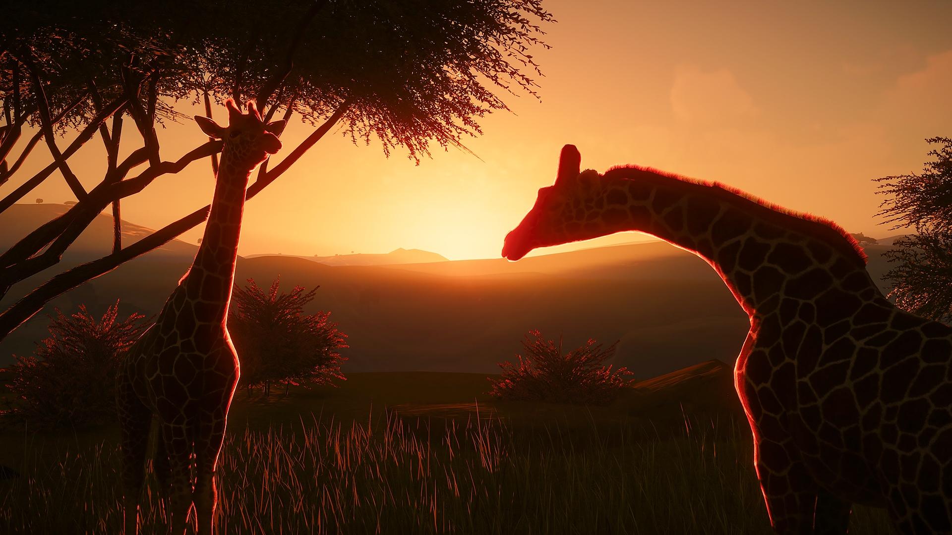 Planet Zoo Deluxe Edition screenshot 14