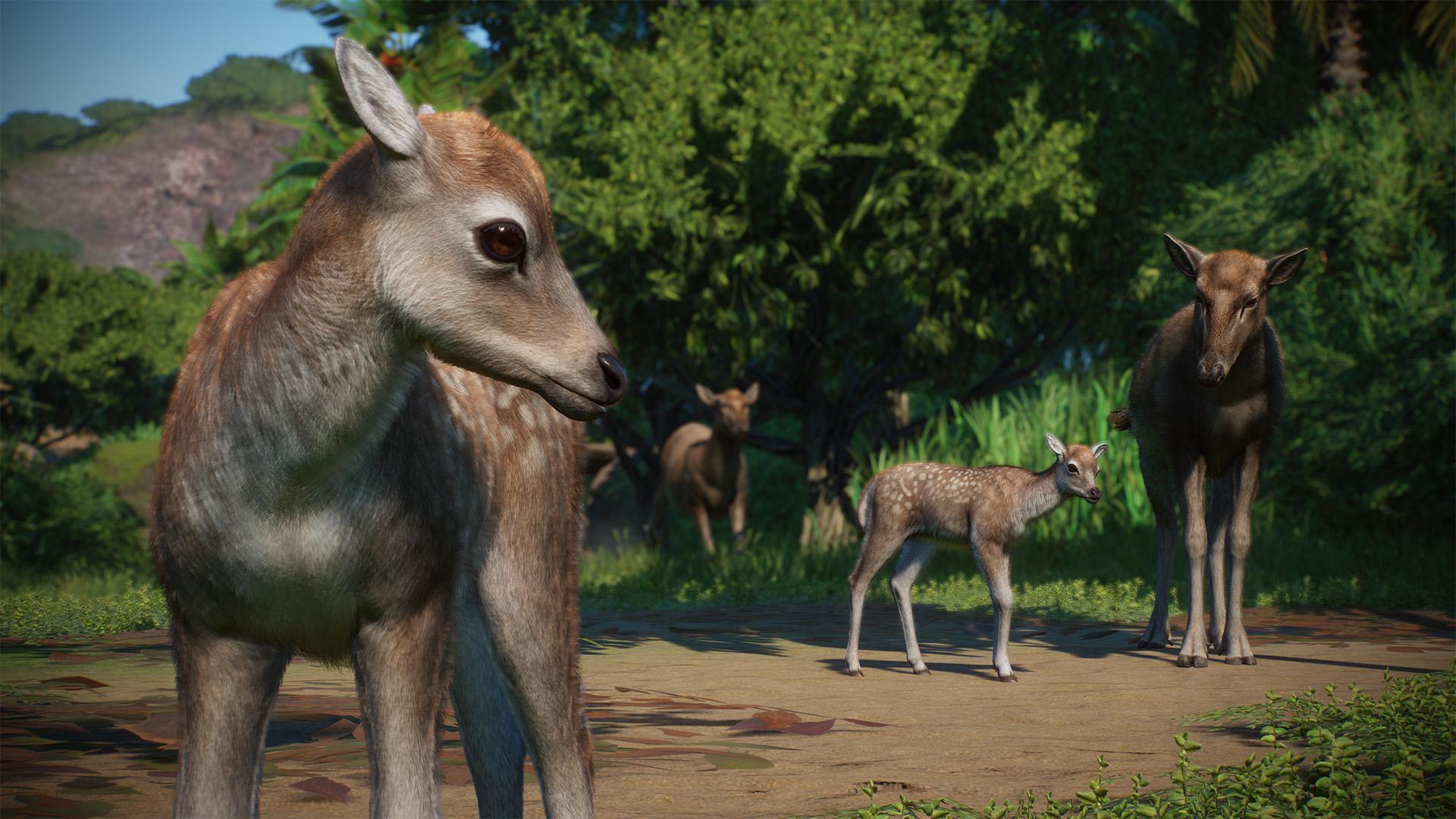 Planet Zoo: Asia Animal Pack screenshot 3