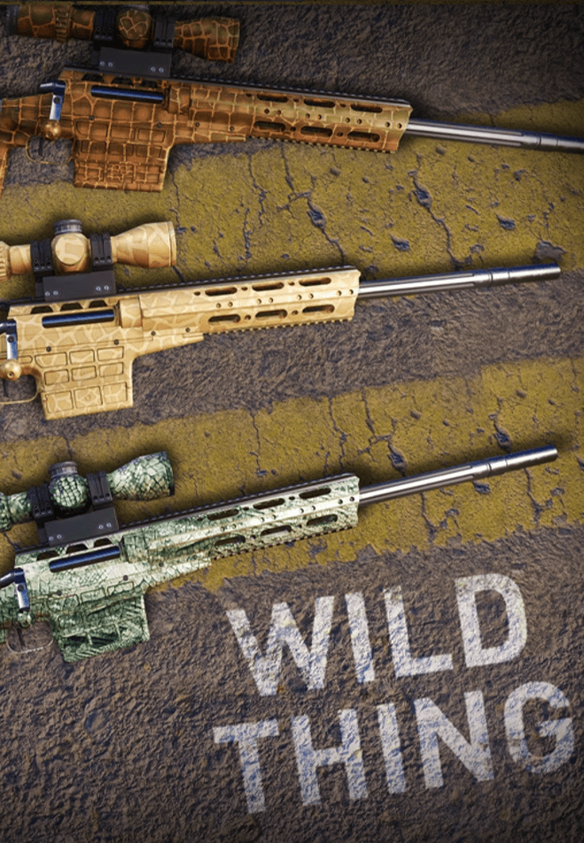 Sniper Ghost Warrior Contracts 2 - Wild Thing Skin Pack