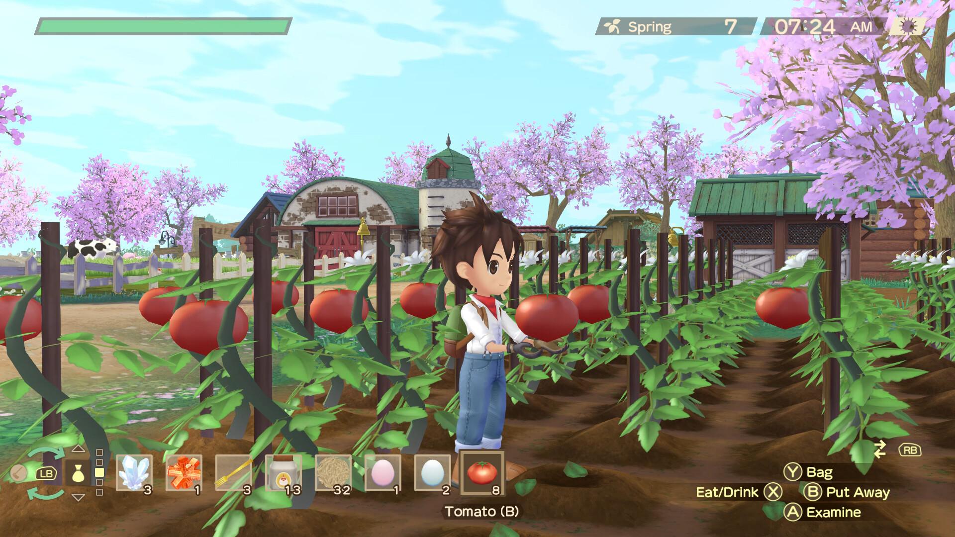 Story of Seasons: A Wonderful Life screenshot 6