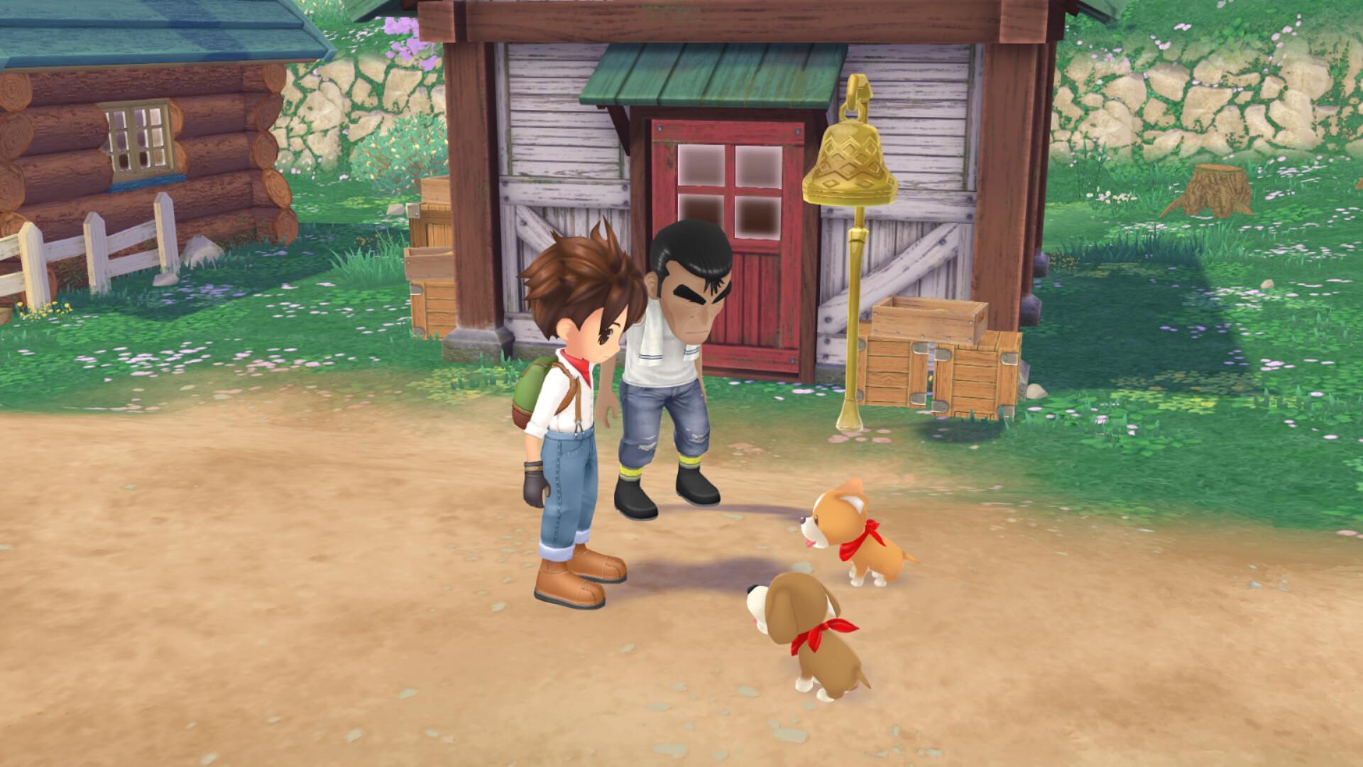 Story of Seasons: A Wonderful Life screenshot 8