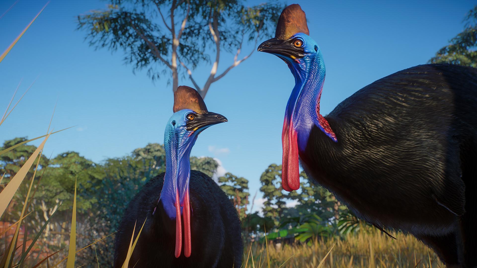 Planet Zoo: Australia Pack screenshot 7