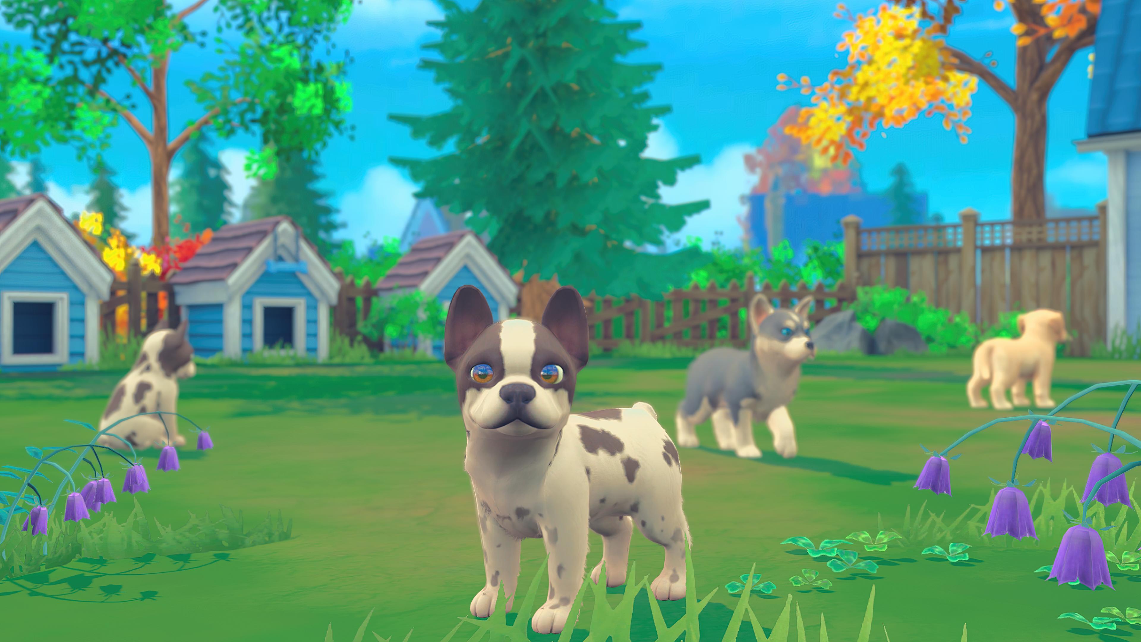 My Universe - Puppies & Kittens screenshot 0