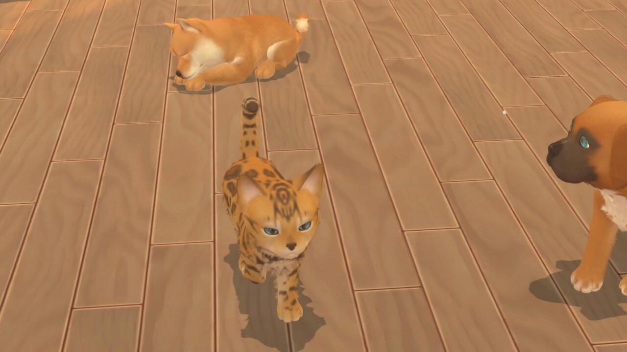 My Universe - Puppies & Kittens screenshot 3