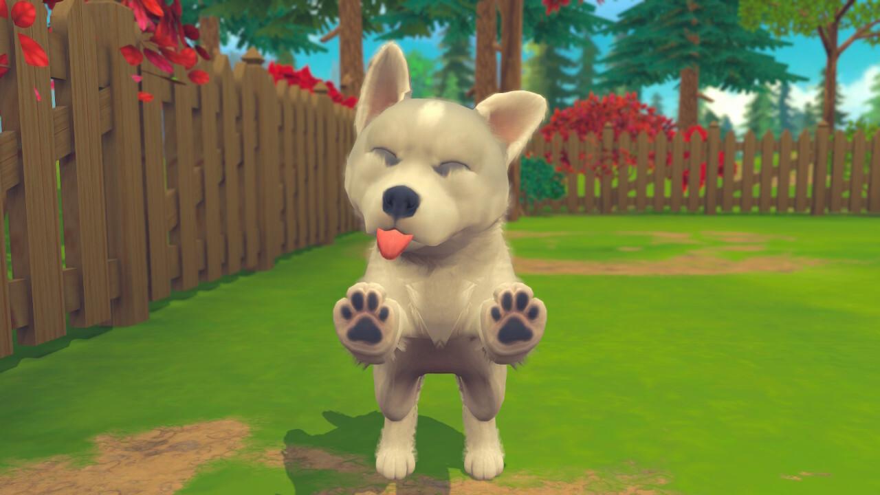 My Universe - Puppies & Kittens screenshot 4