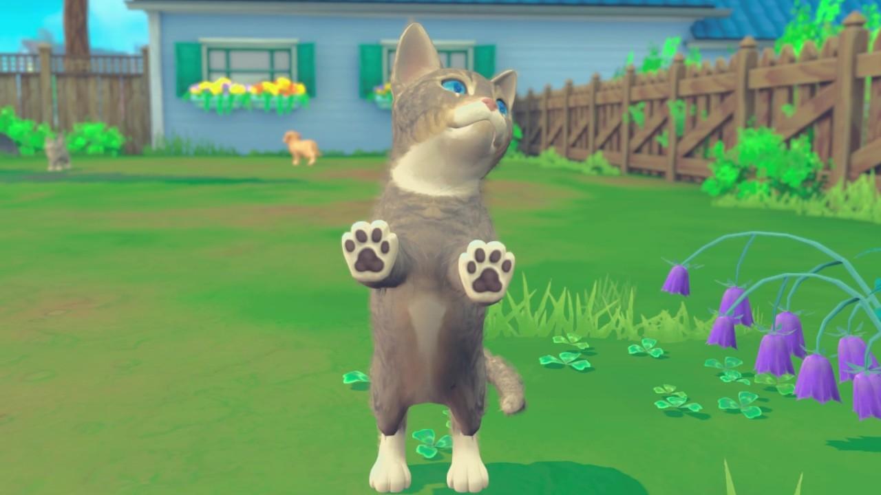 My Universe - Puppies & Kittens screenshot 5