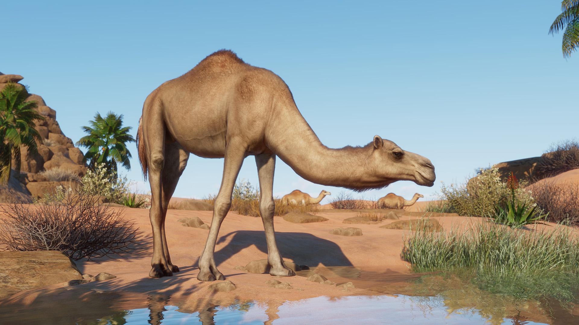 Planet Zoo: The Arid Animal Pack screenshot 0