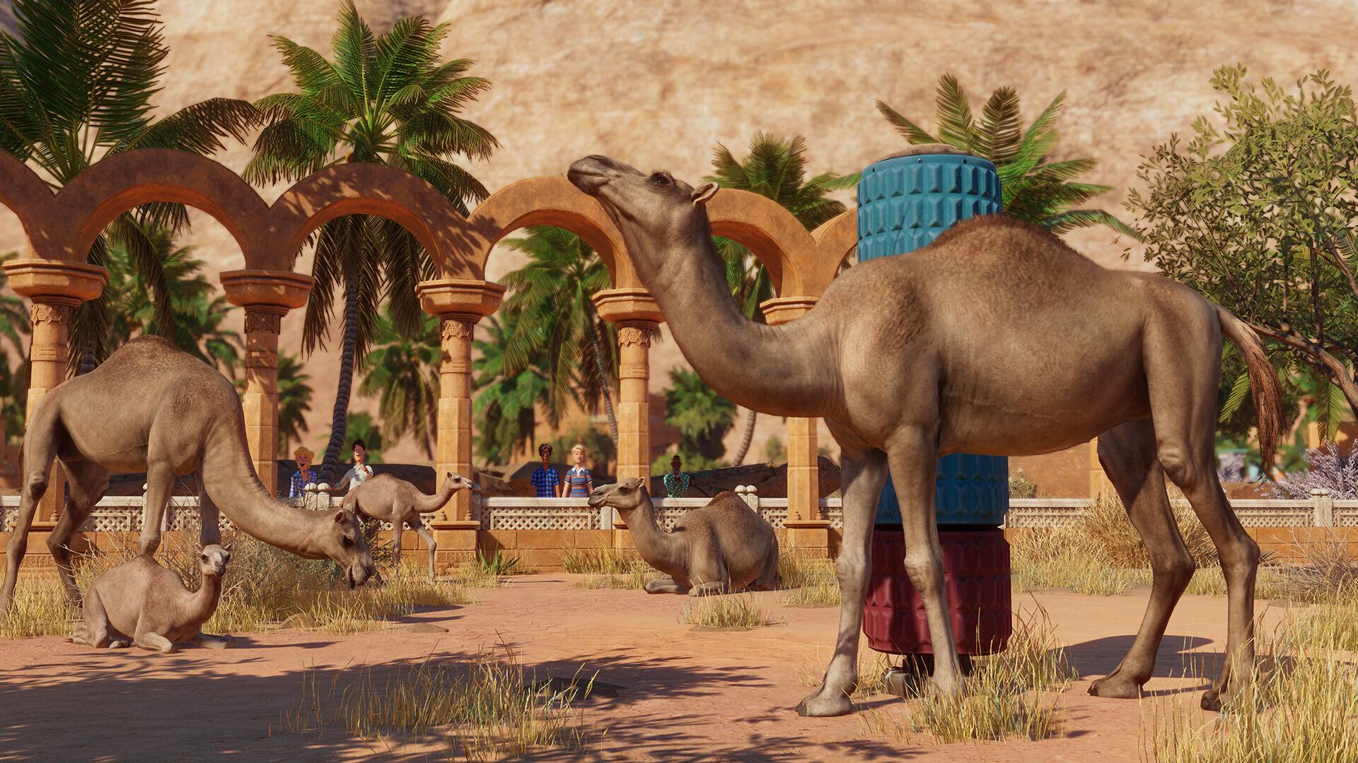Planet Zoo: The Arid Animal Pack screenshot 8