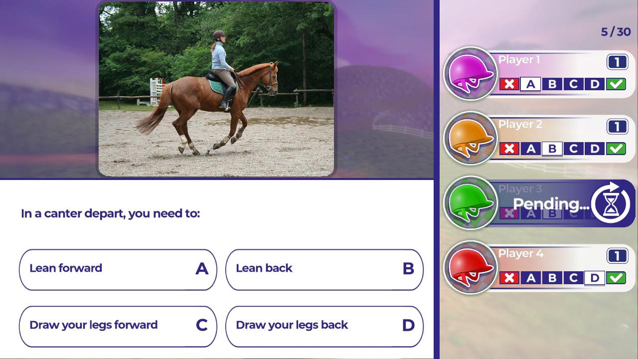 Equestrian Training screenshot 3