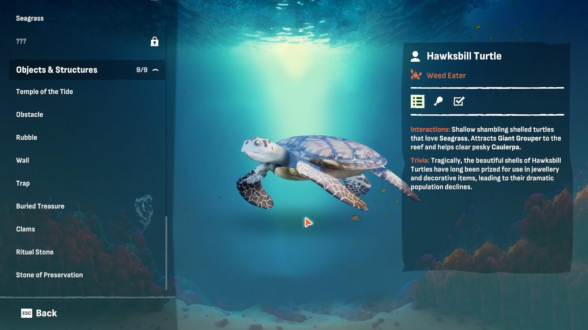 Crab God screenshot 6