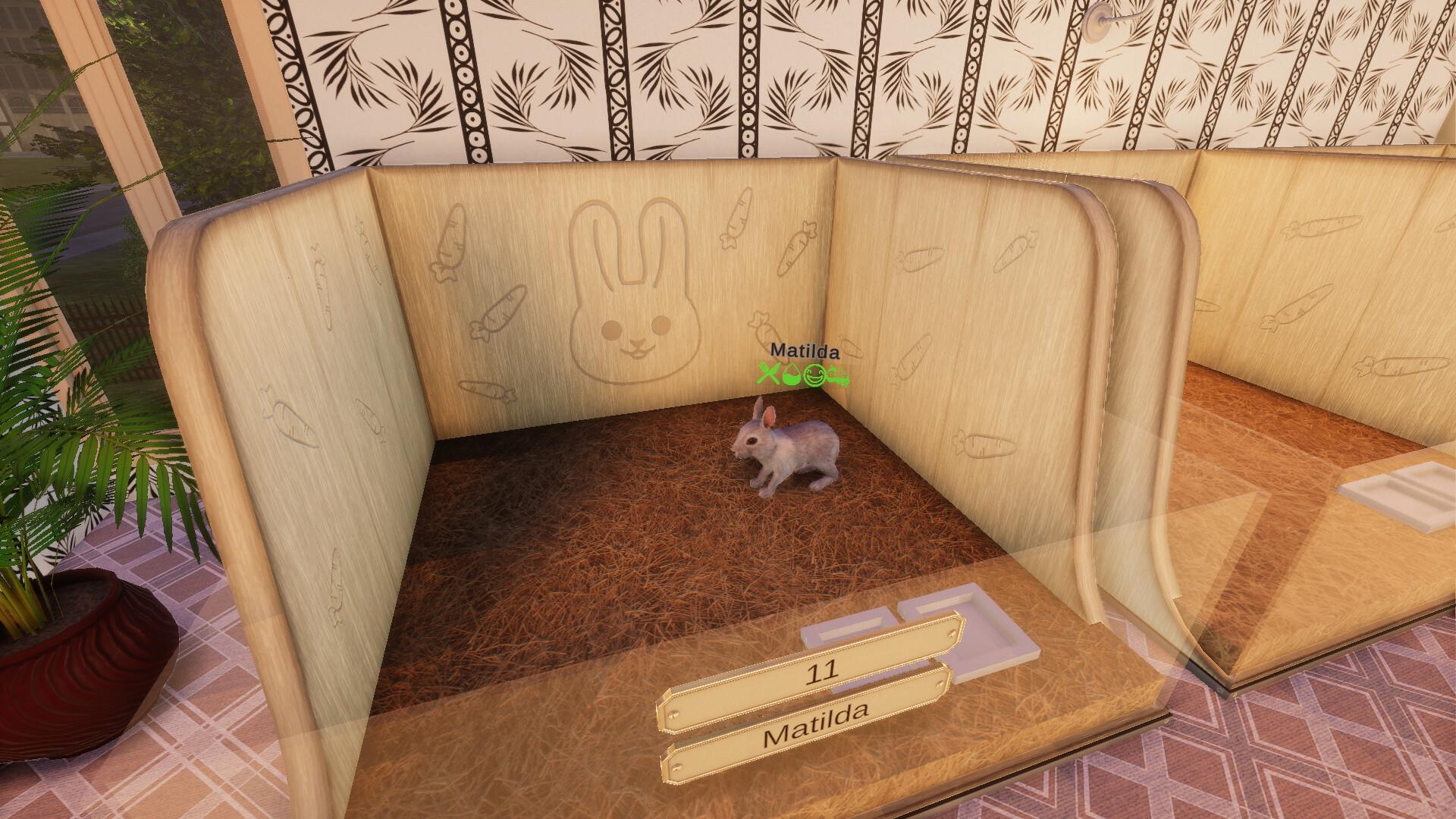 Pets Hotel screenshot 10