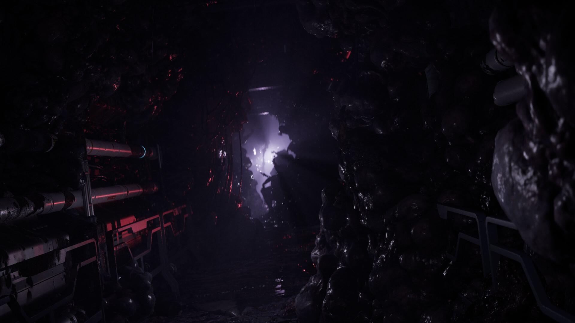 Directive 8020 Pre-Order screenshot 9