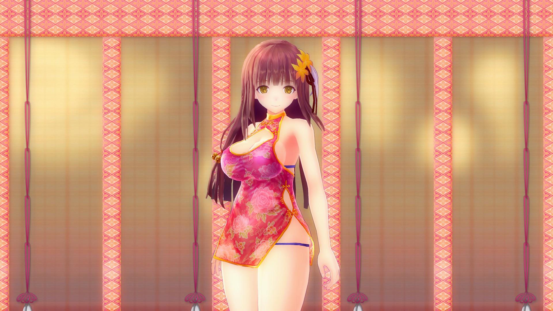 VALKYRIE DRIVE Complete Edition screenshot 7