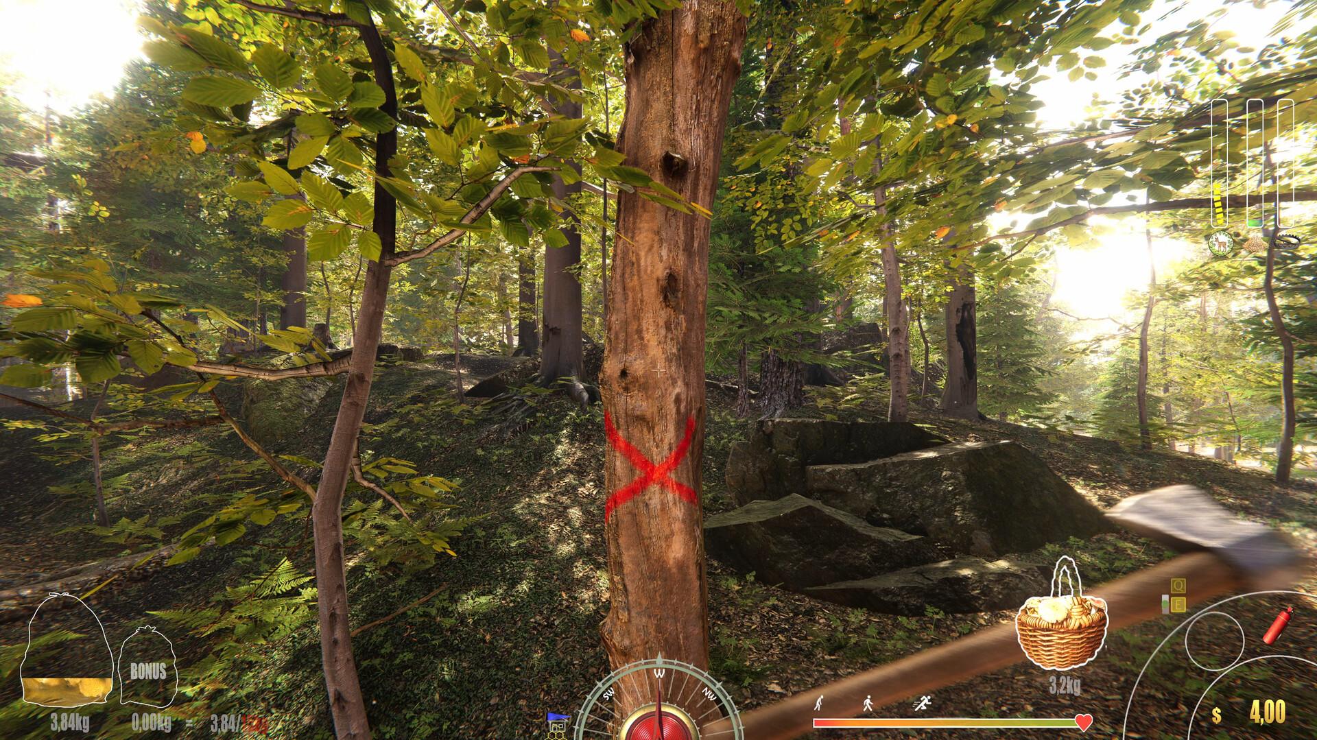 Forest Ranger Simulator - Early Access screenshot 11