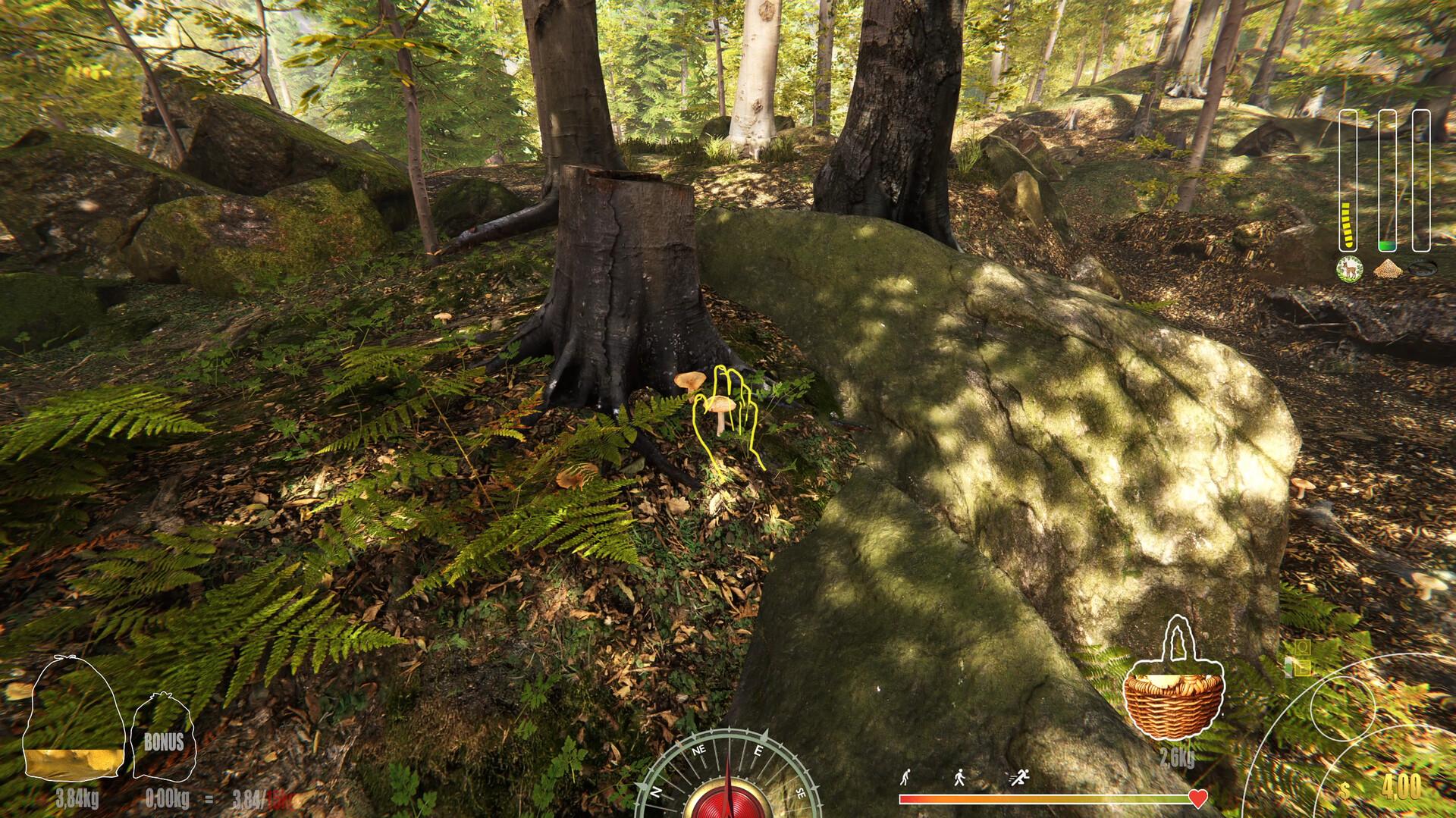 Forest Ranger Simulator - Early Access screenshot 25