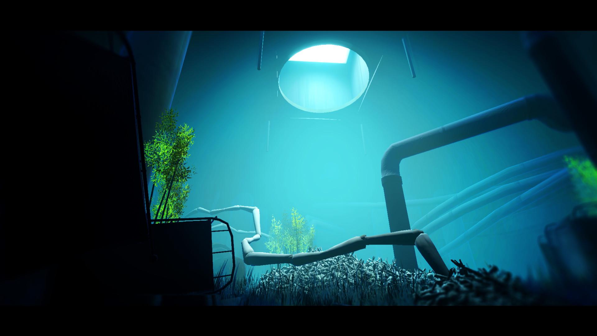 Acanthoceras screenshot 3