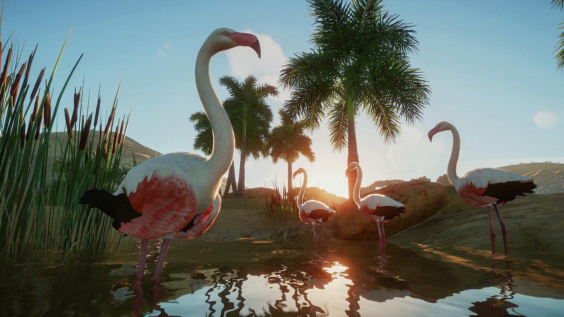 Planet Zoo screenshot 22