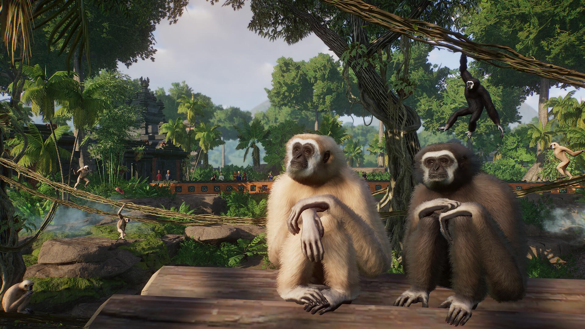Planet Zoo: Tropical Pack screenshot 7