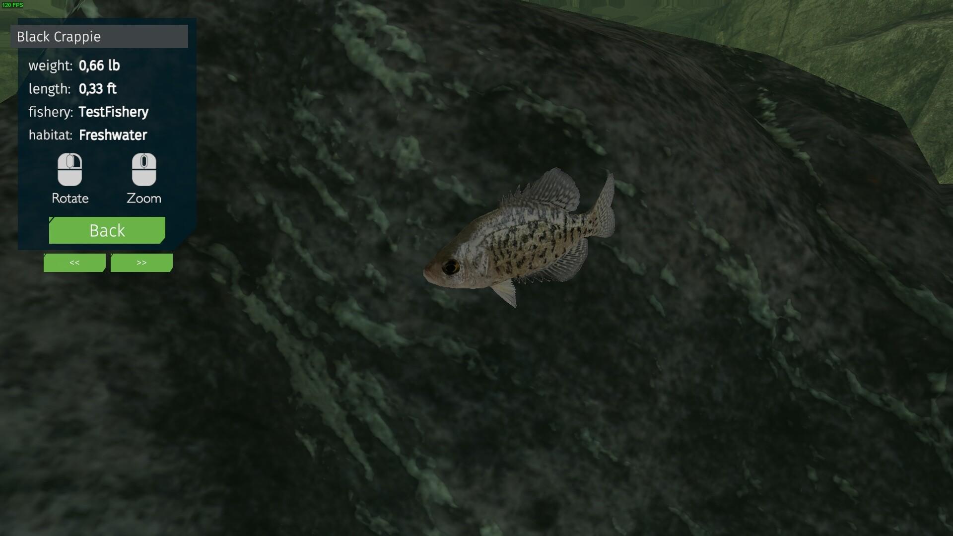 Ultimate Fishing Simulator - Aquariums DLC screenshot 2