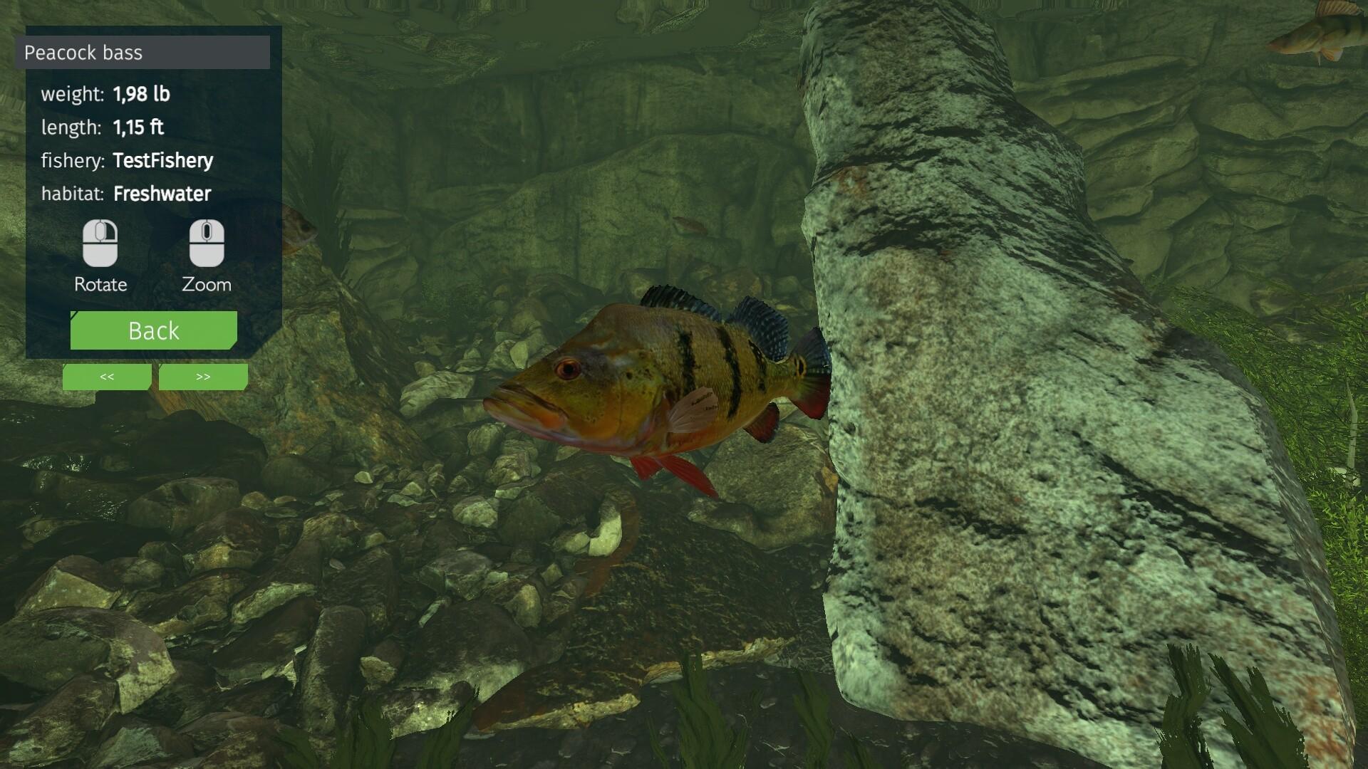 Ultimate Fishing Simulator - Aquariums DLC screenshot 4