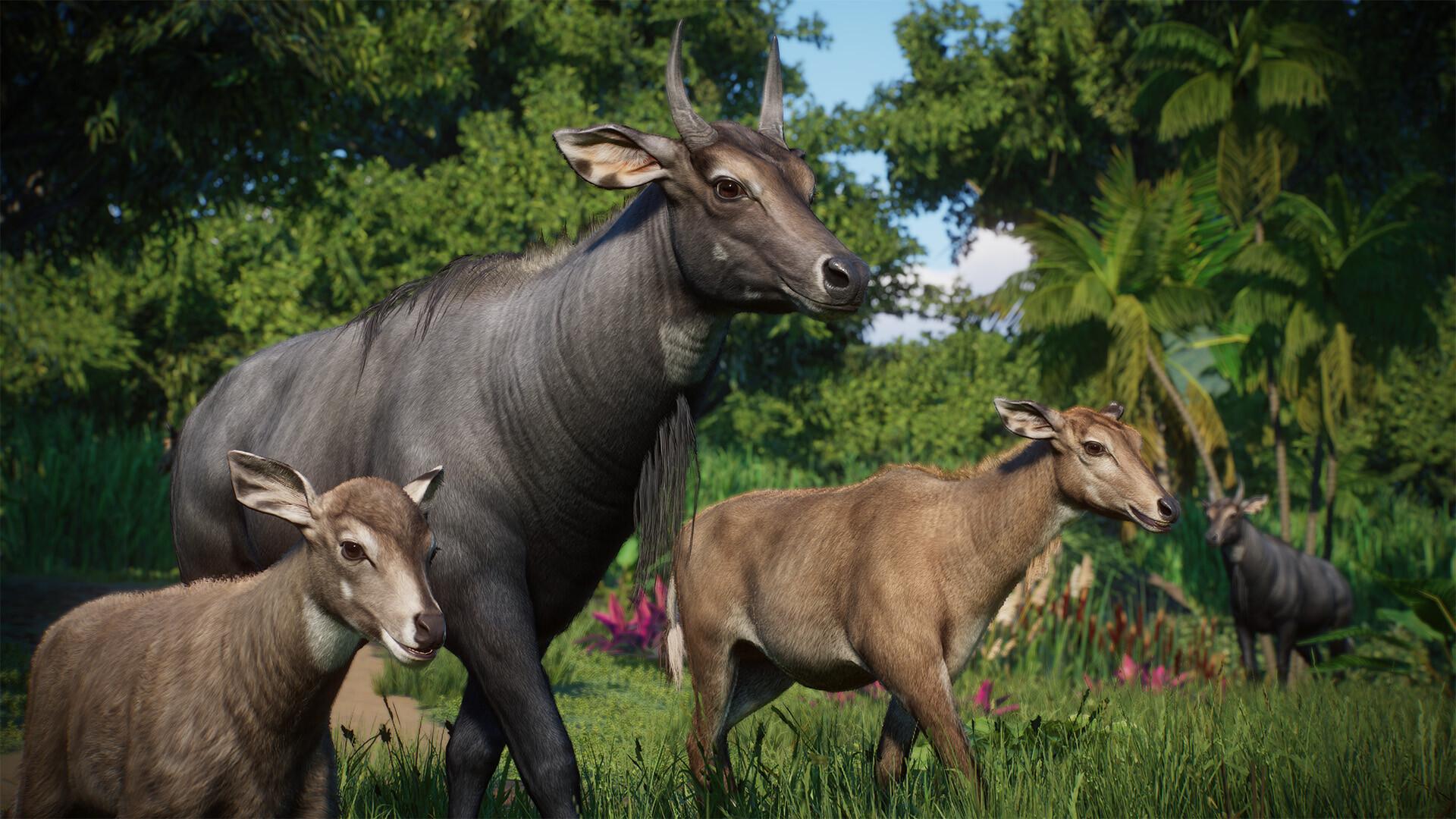 Planet Zoo: Asia Animal Pack screenshot 6