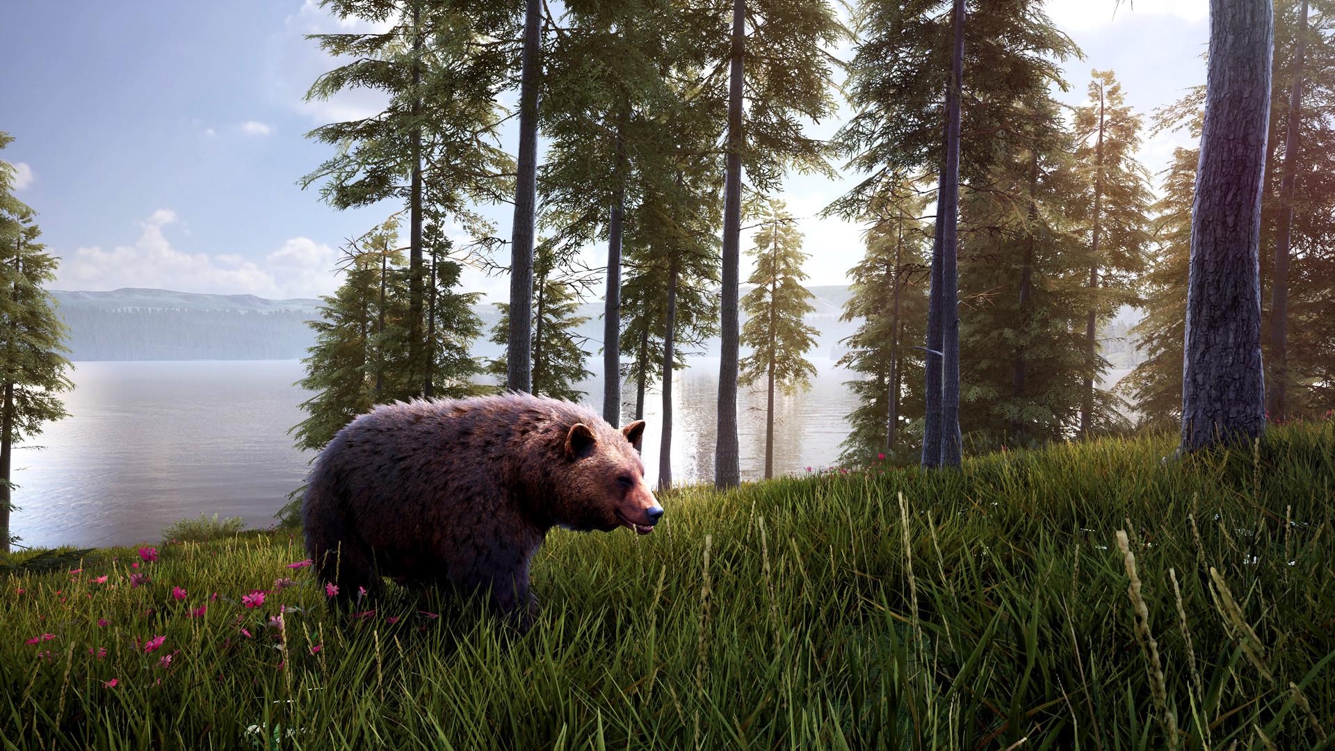 Hunting Simulator 2 Bear Hunter Pack image