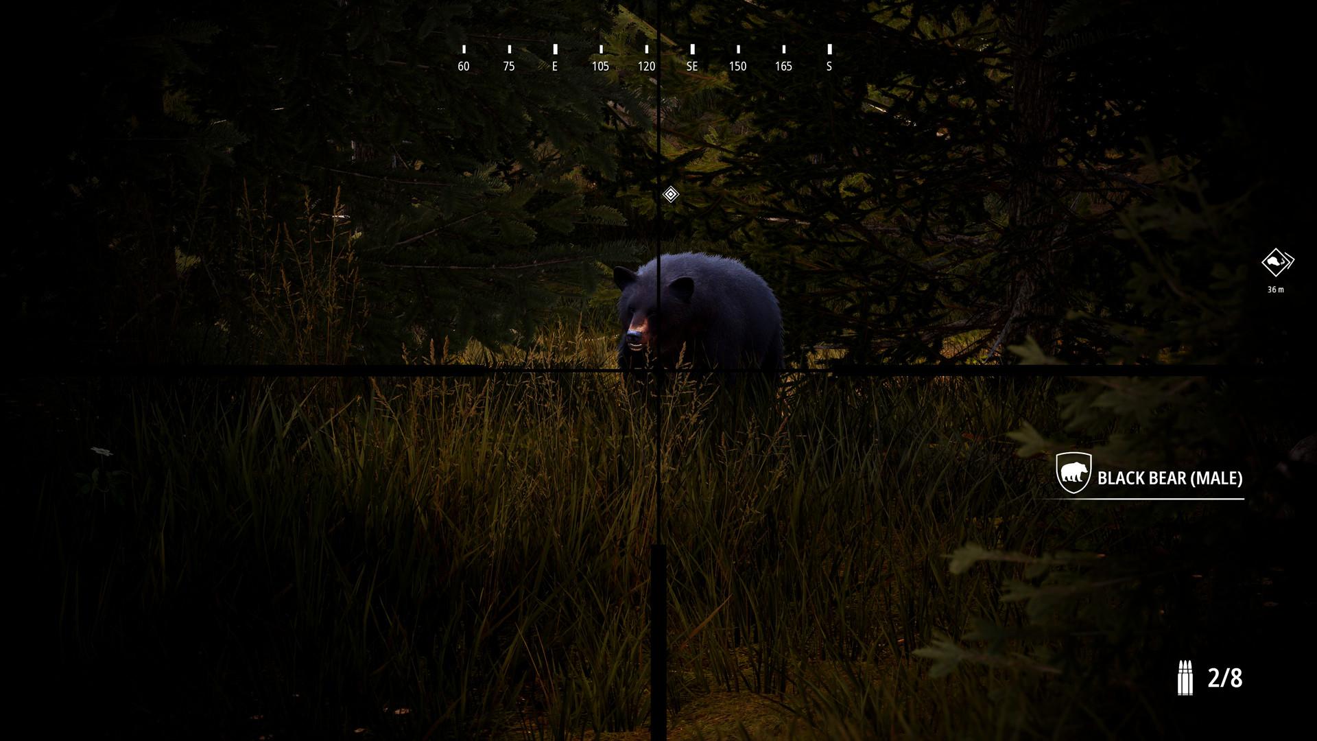 Hunting Simulator 2 Bear Hunter Pack screenshot 4