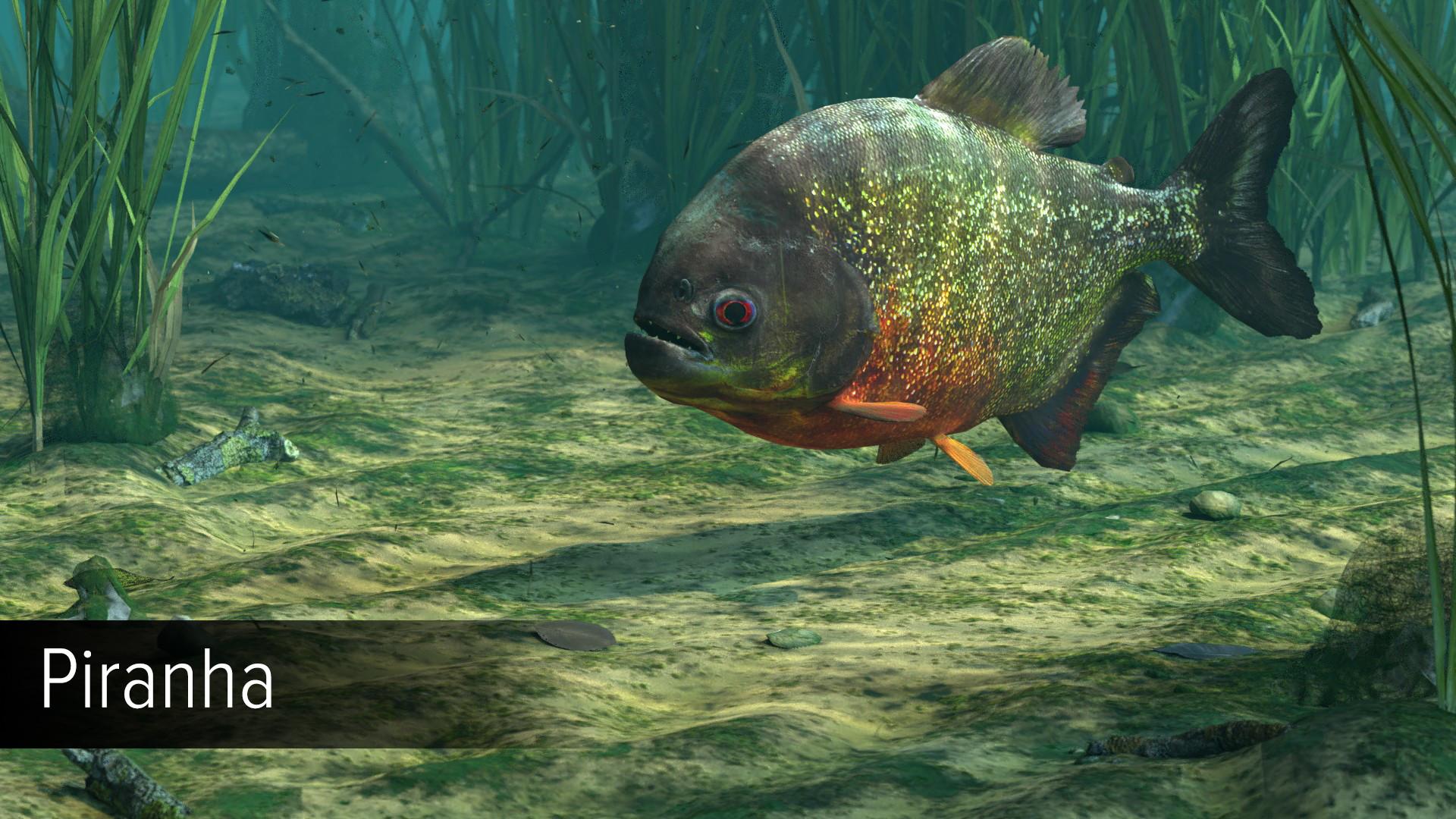 Ultimate Fishing Simulator - Amazon River DLC screenshot 11