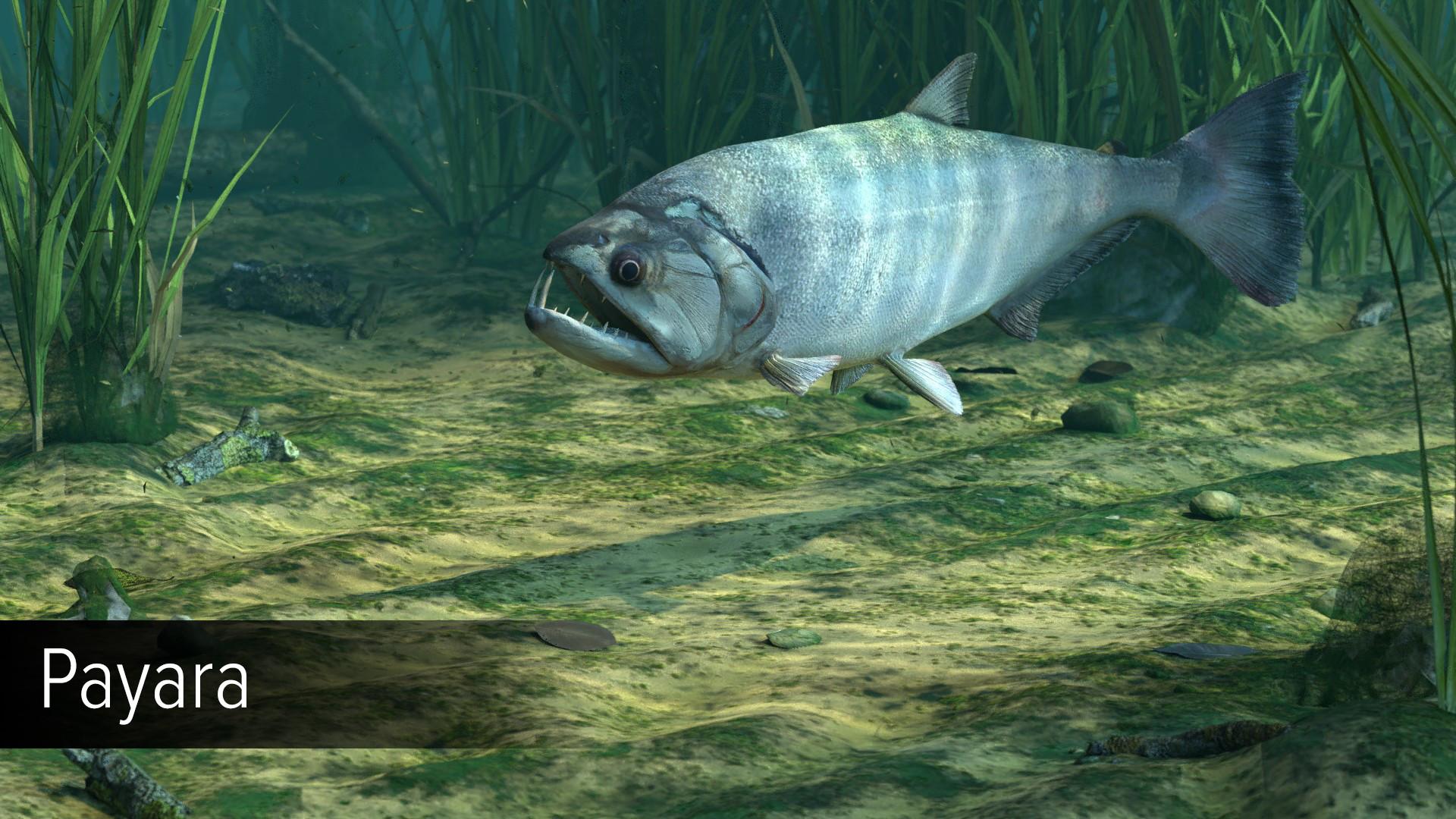 Ultimate Fishing Simulator - Amazon River DLC screenshot 15