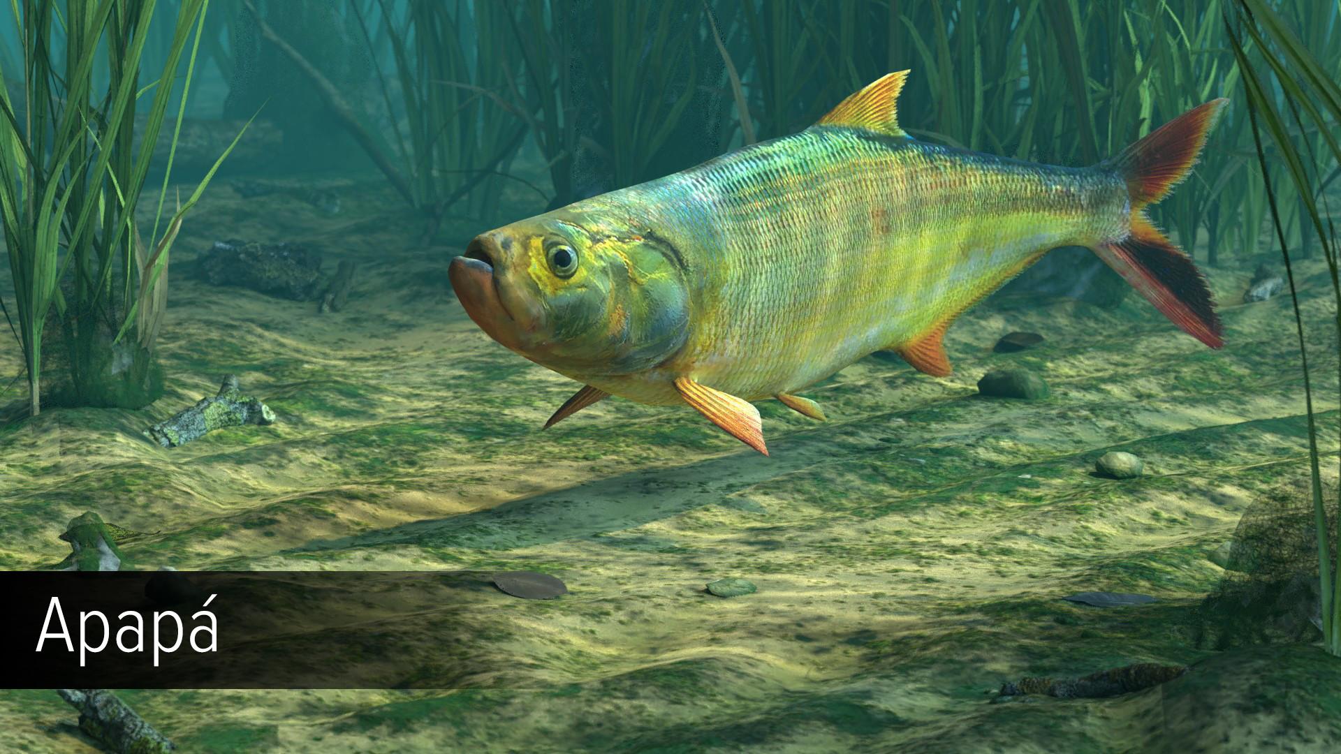 Ultimate Fishing Simulator - Amazon River DLC screenshot 8