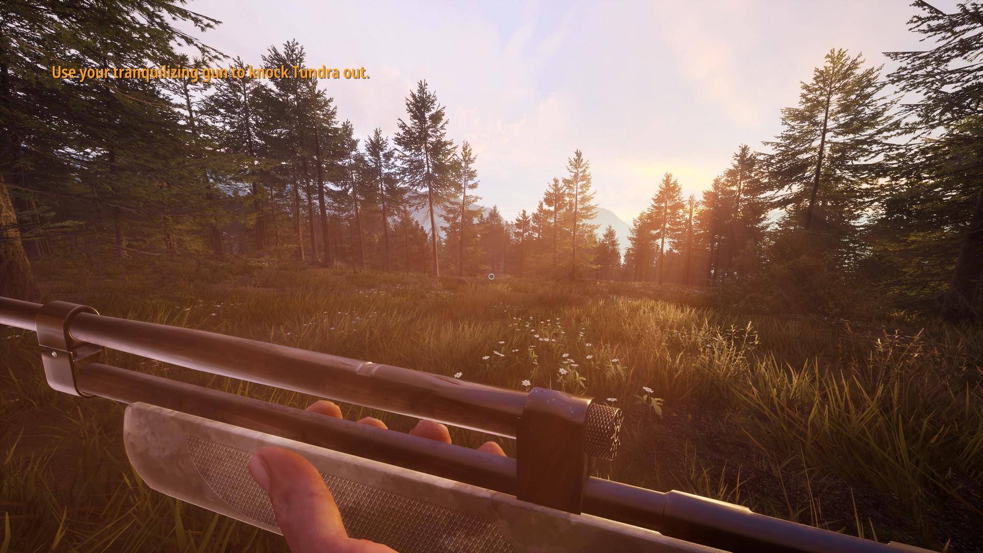 Hunting Simulator 2: A Ranger's Life screenshot 4