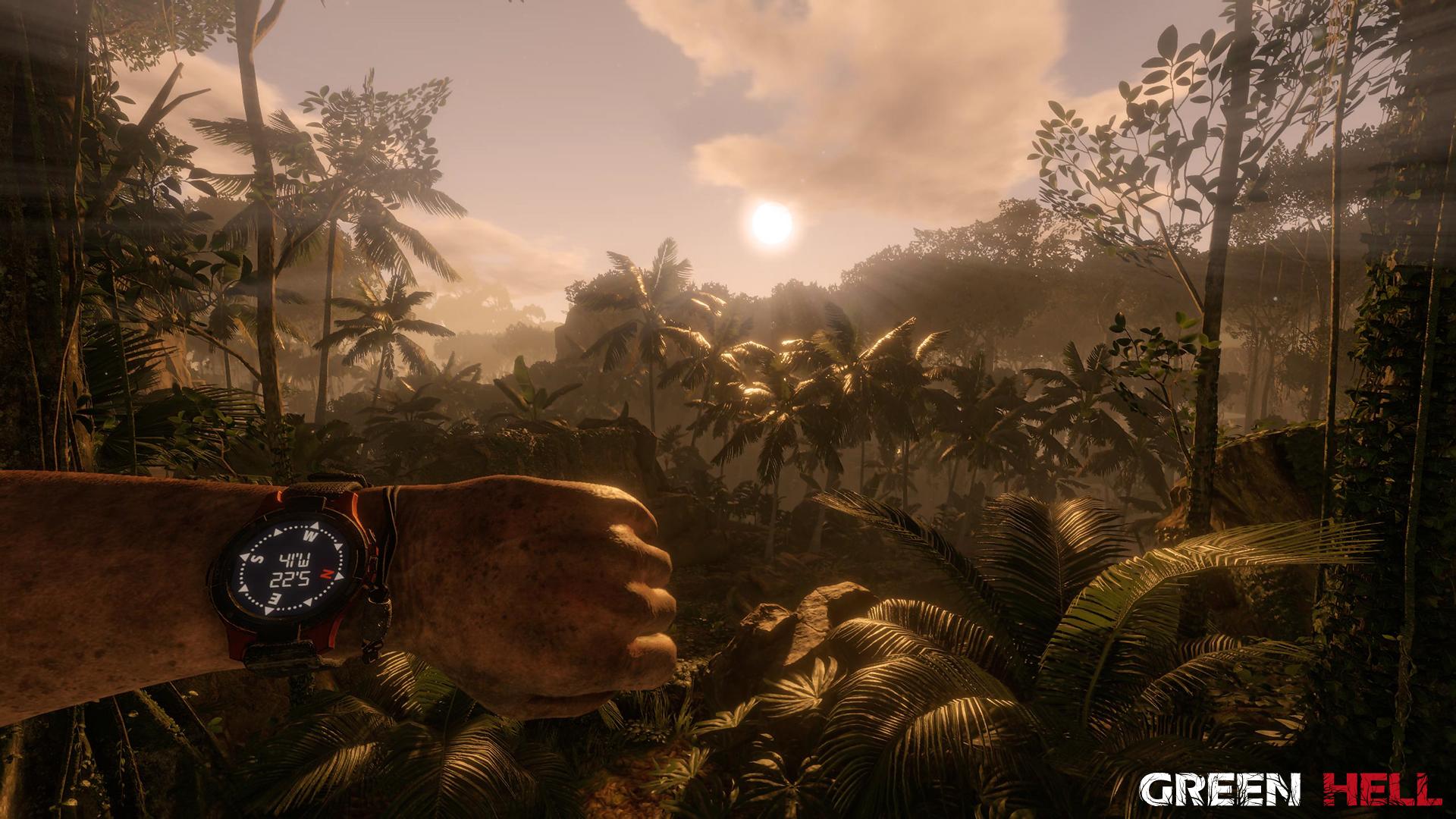 Green Hell screenshot 18