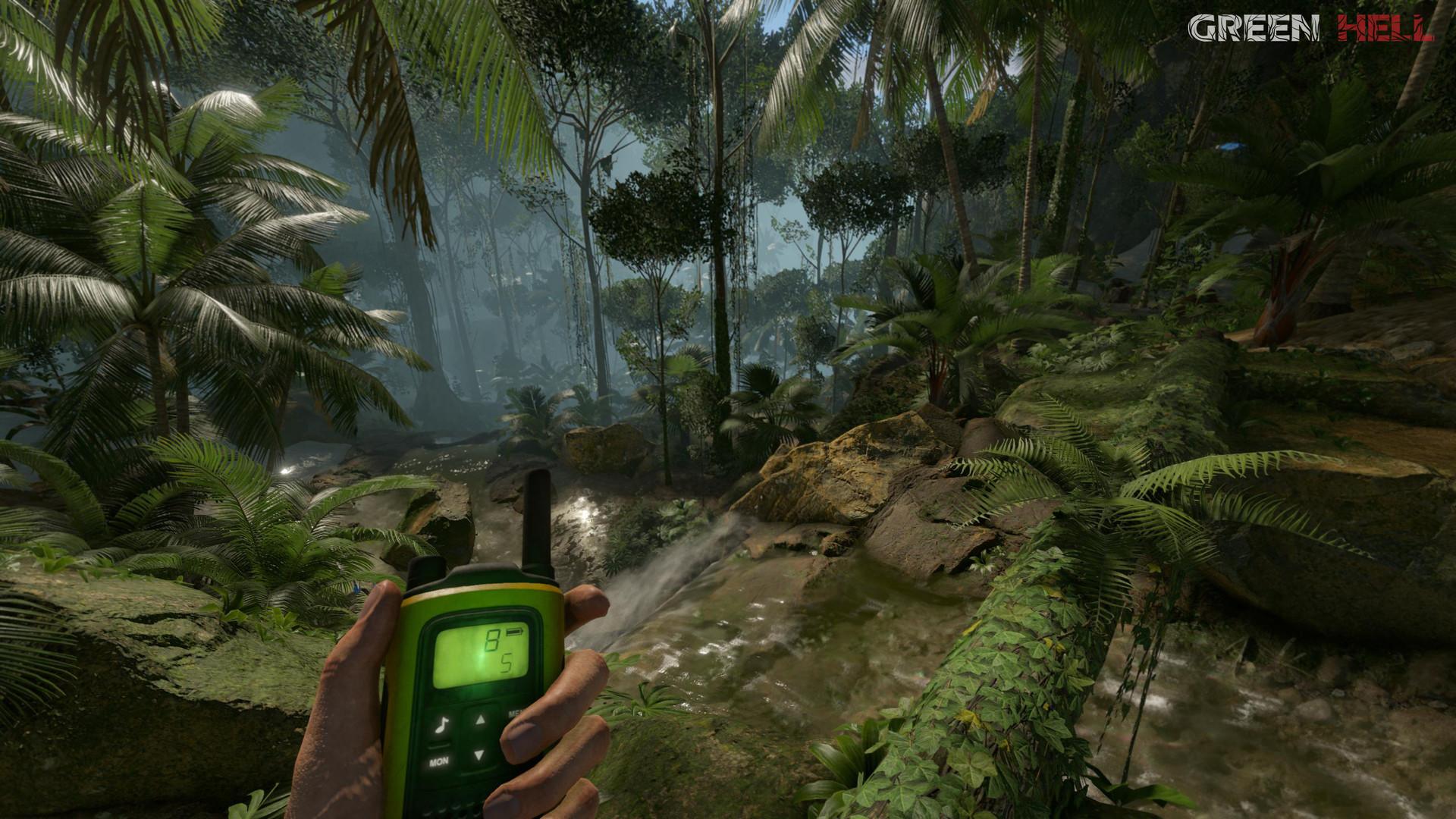 Green Hell screenshot 21