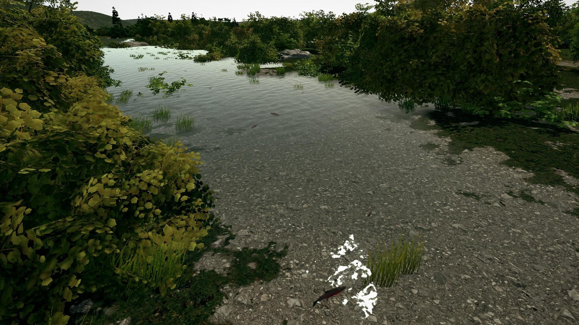 Ultimate Fishing Simulator - Taupo Lake DLC screenshot 16