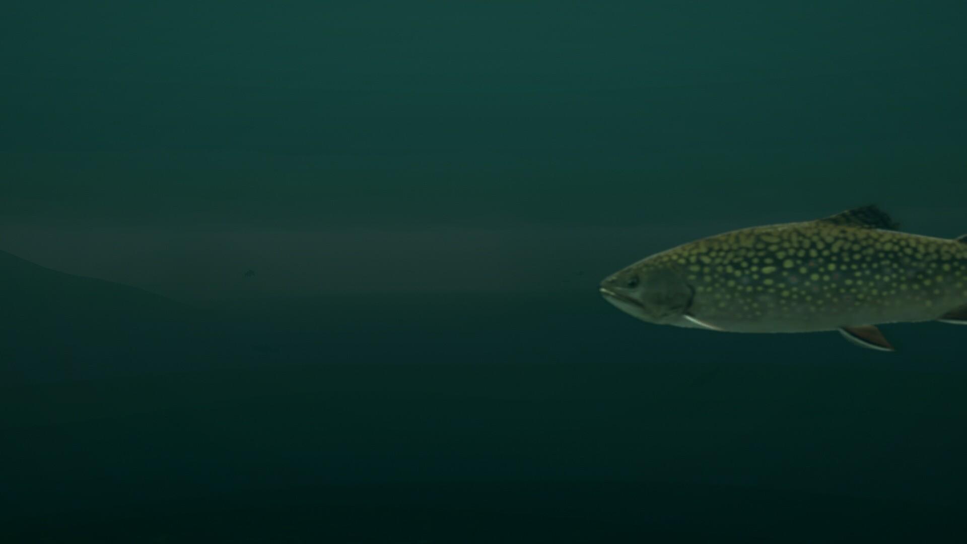 Ultimate Fishing Simulator - Taupo Lake DLC screenshot 8