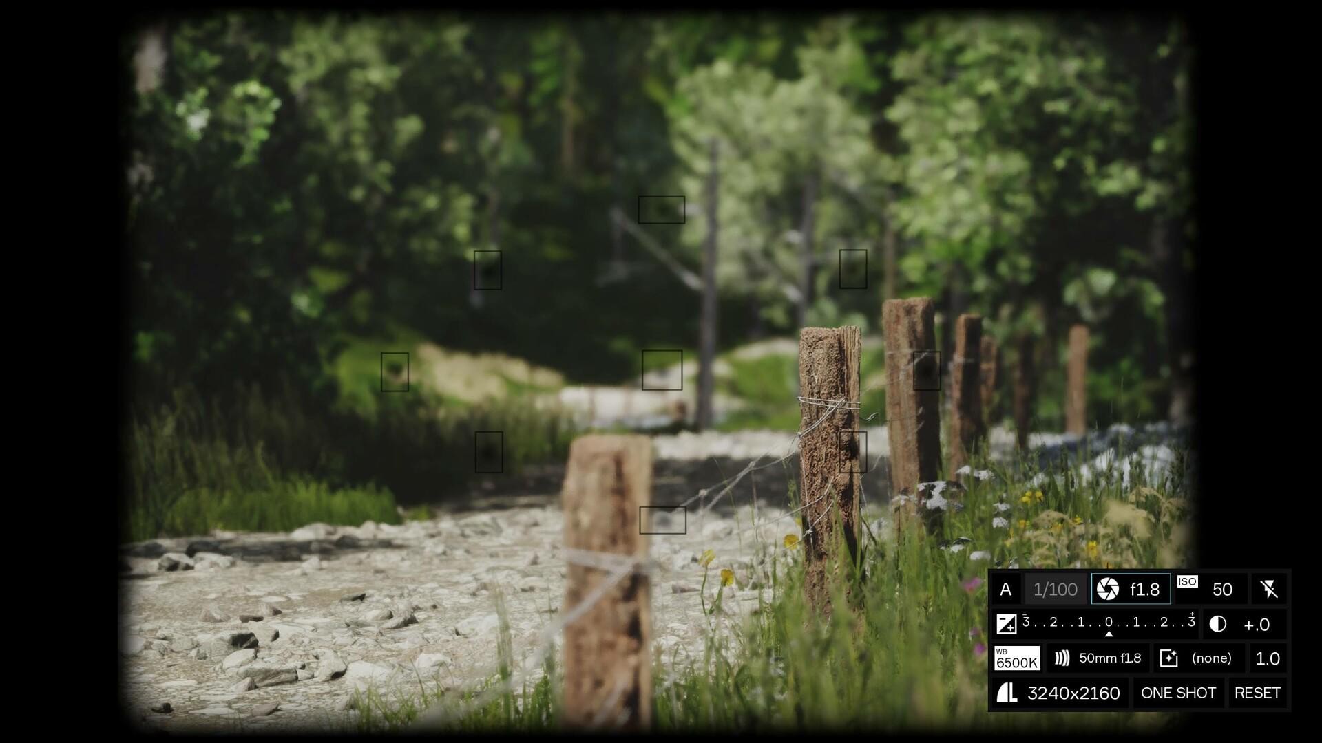 Lushfoil Photography Sim screenshot 3