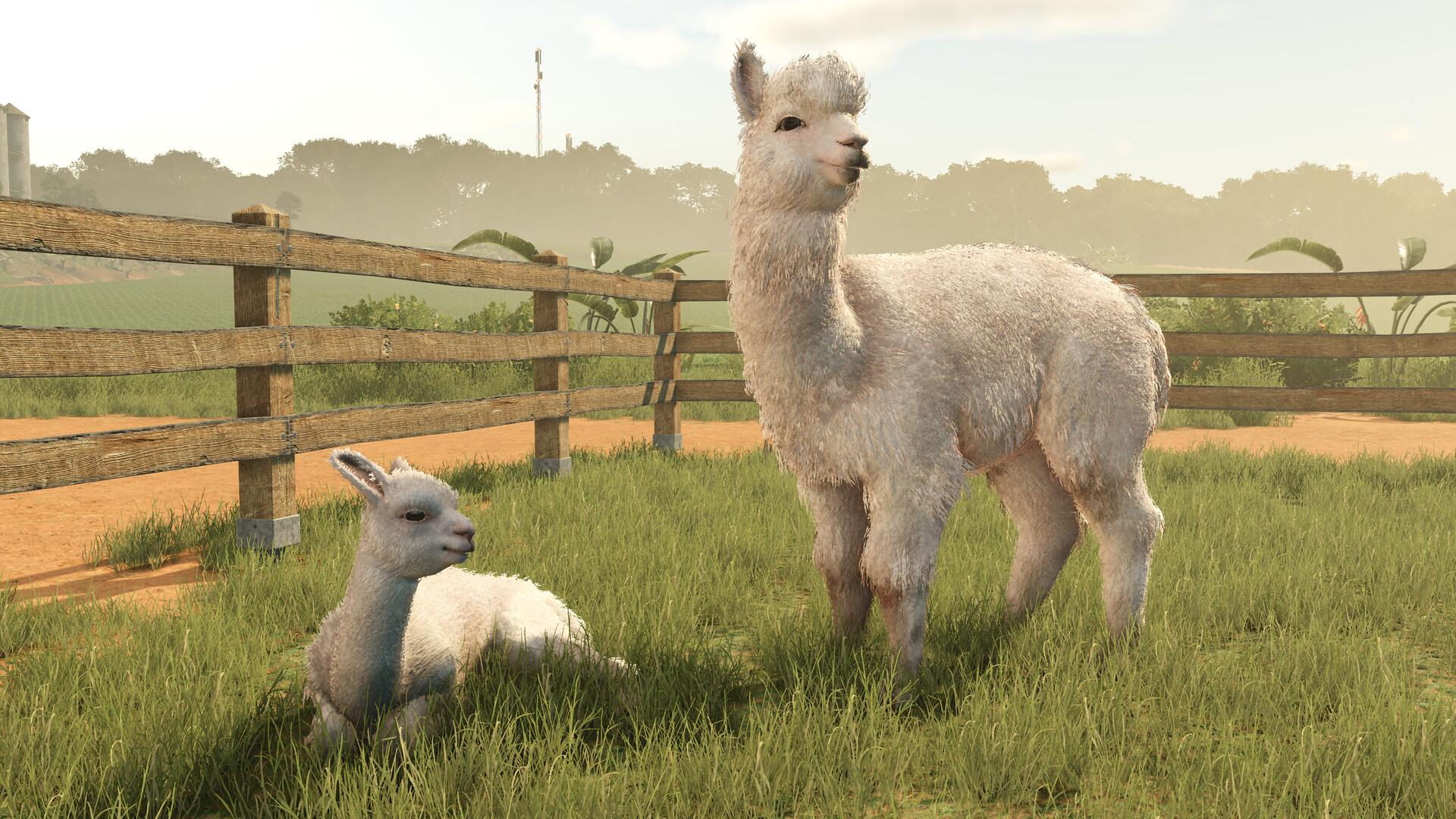 Farming Simulator 25 - Beans & Alpacas Expansion screenshot 3