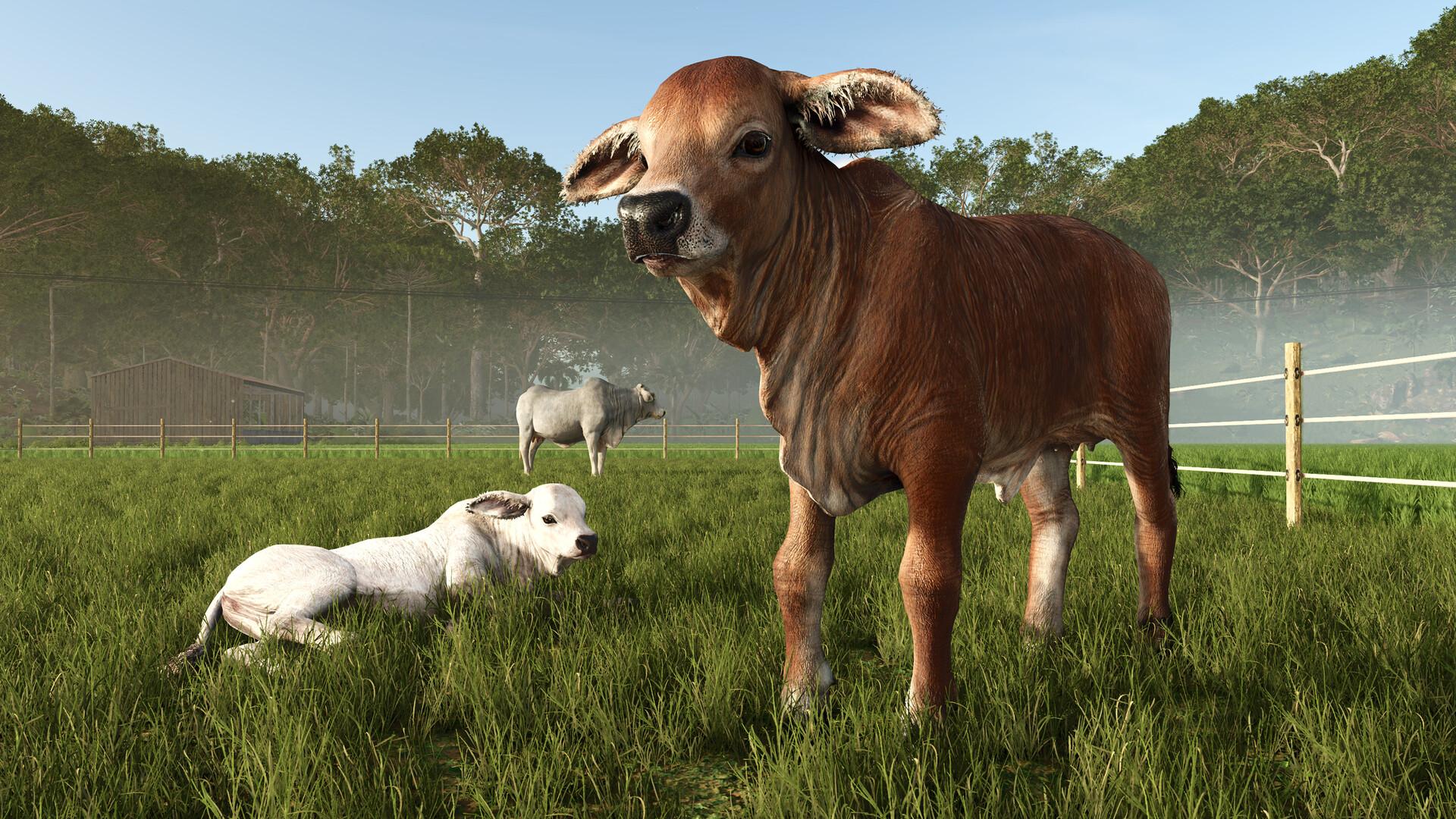 Farming Simulator 25 - Beans & Alpacas Expansion screenshot 5