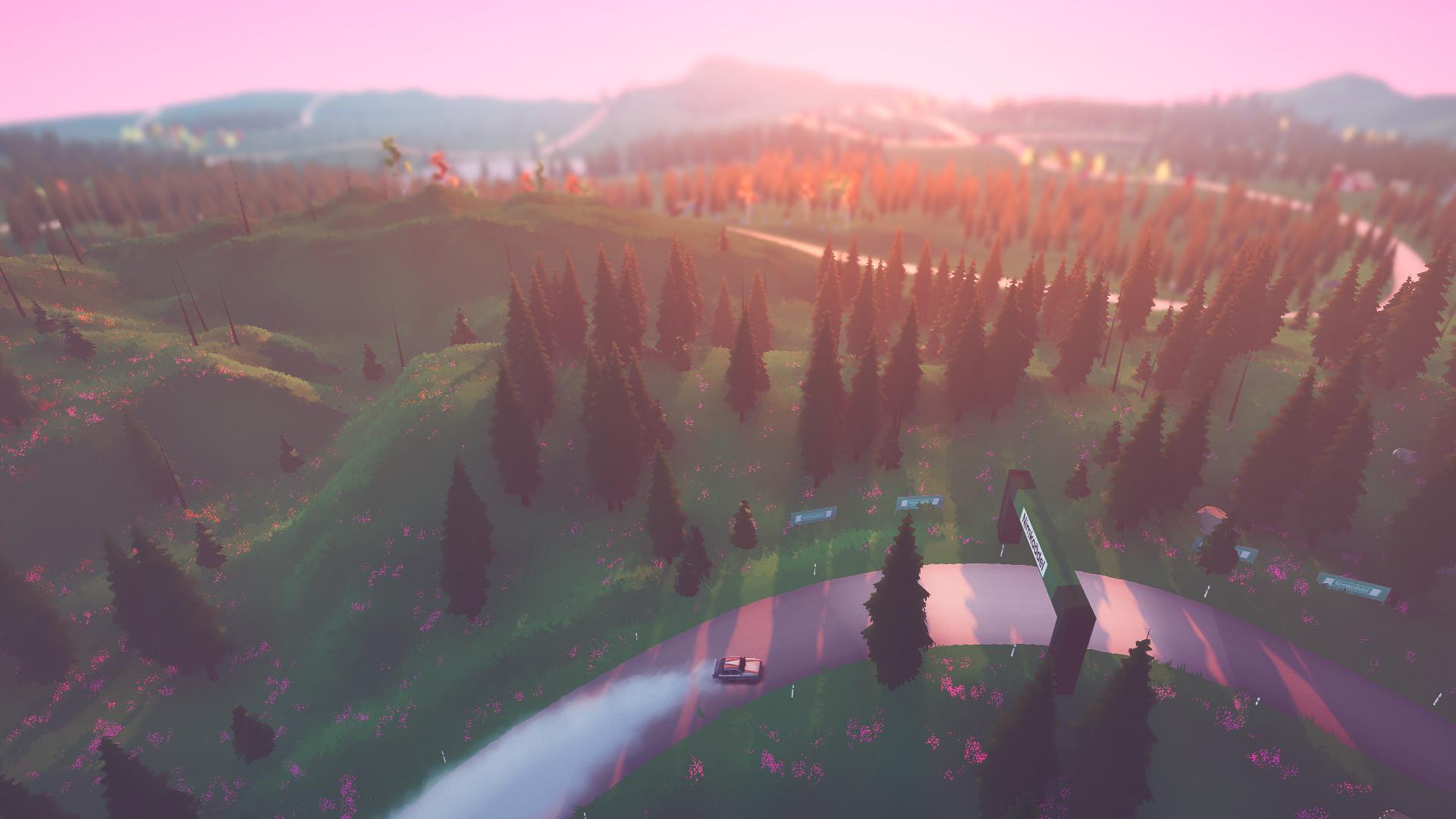 art of rally screenshot 11
