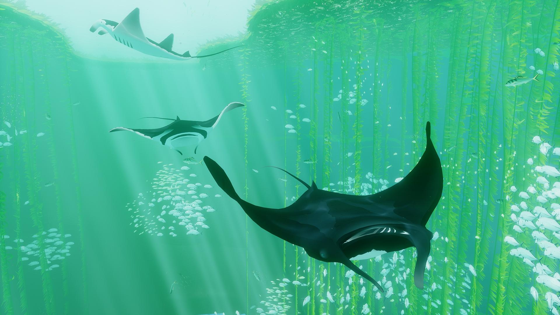 ABZU screenshot 1
