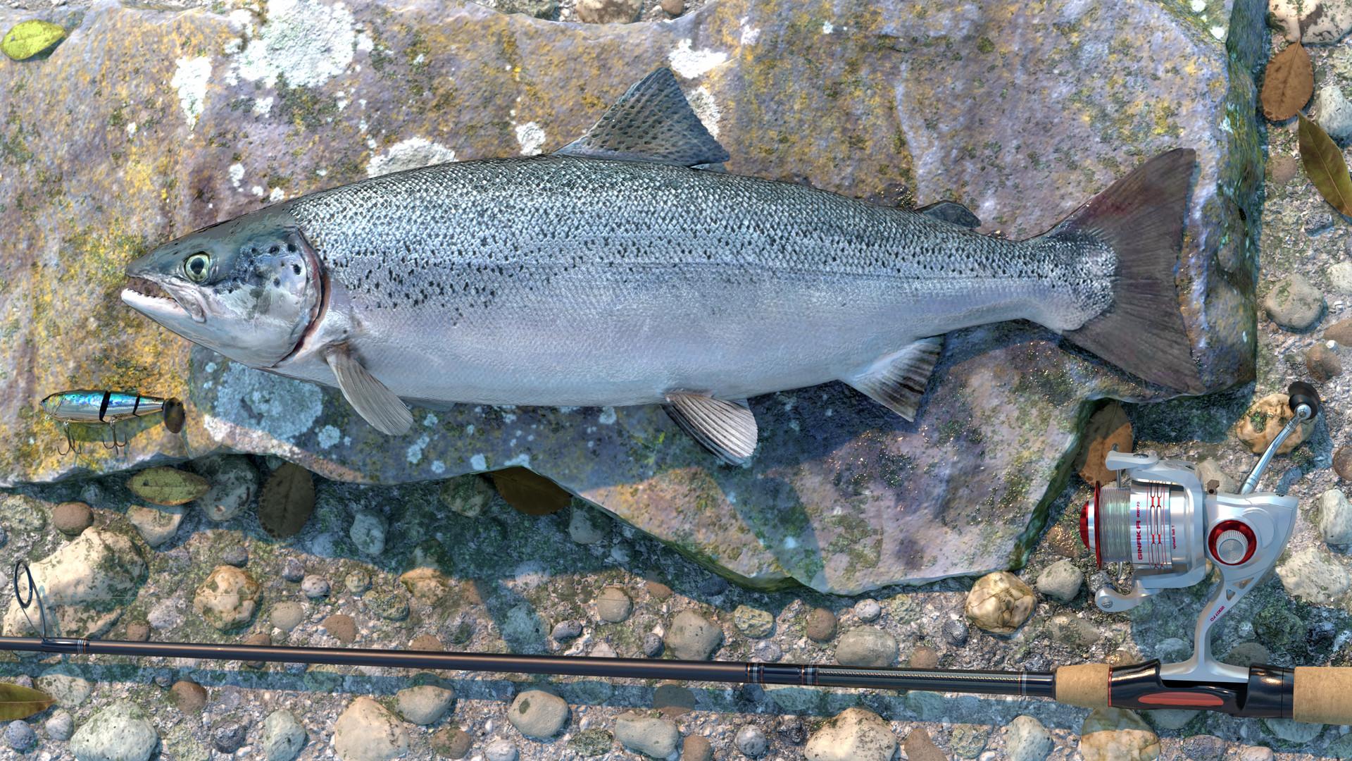 Professional Fishing: Sakura© Ryokan Spinning image