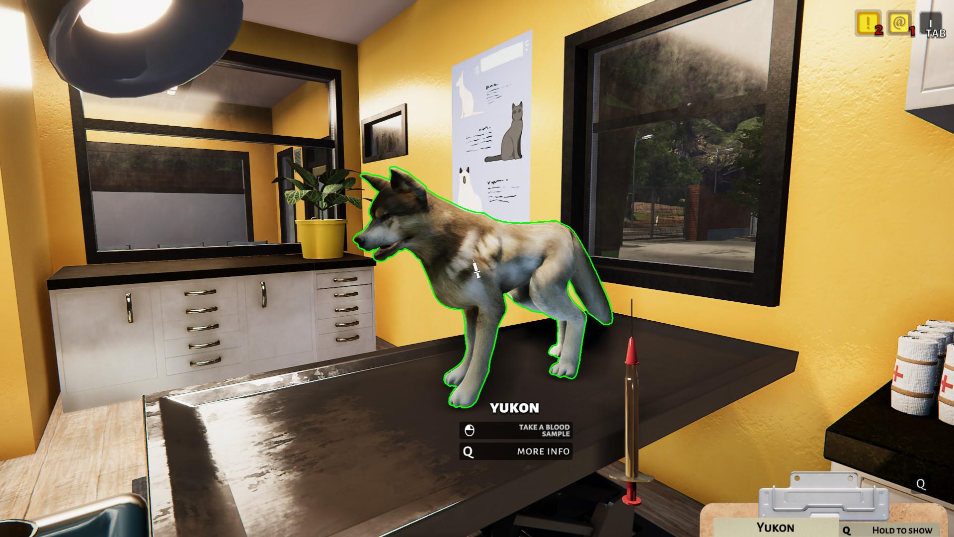 Animal Shelter screenshot 10